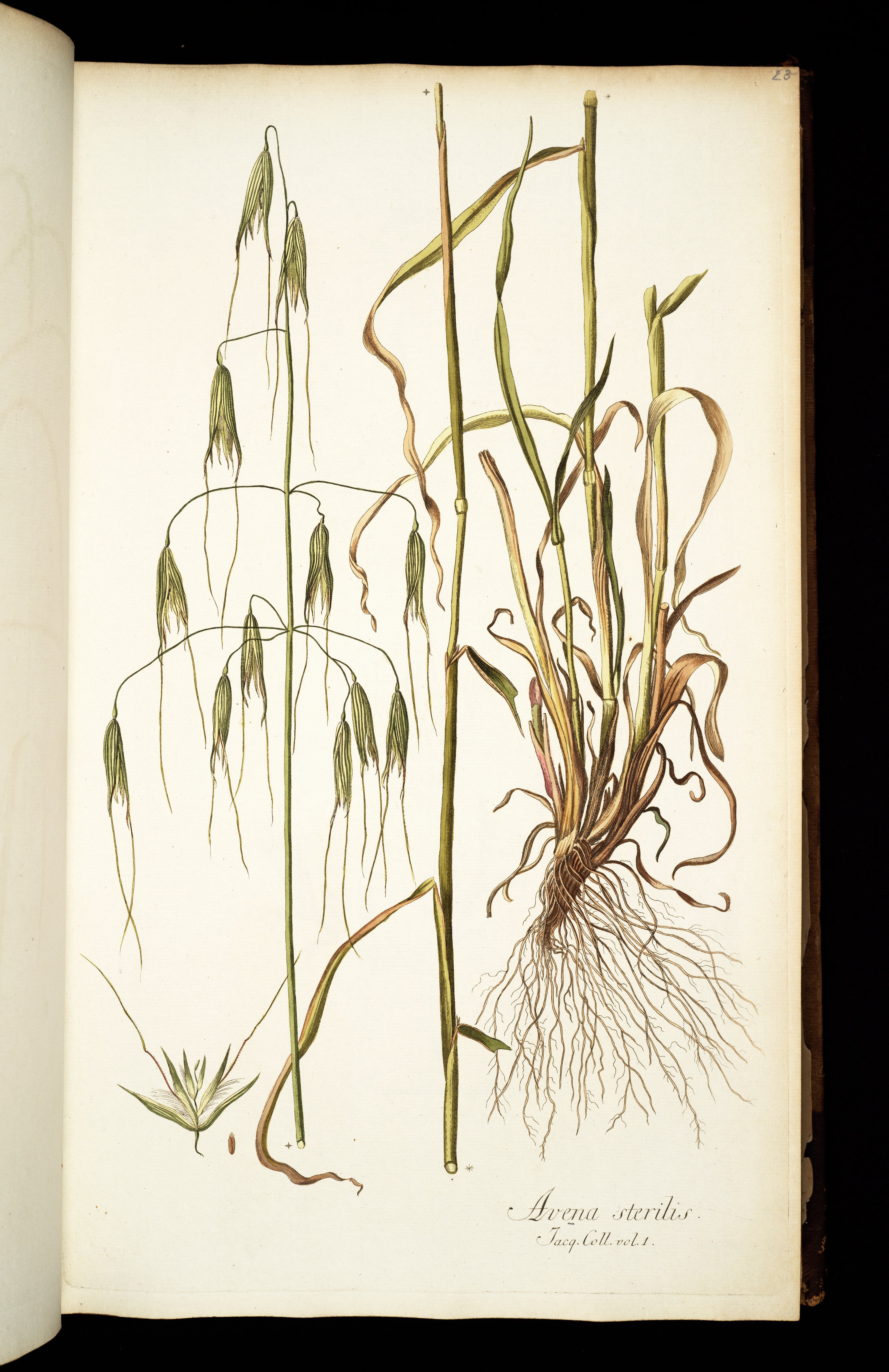 no full size  illustration available (3a)