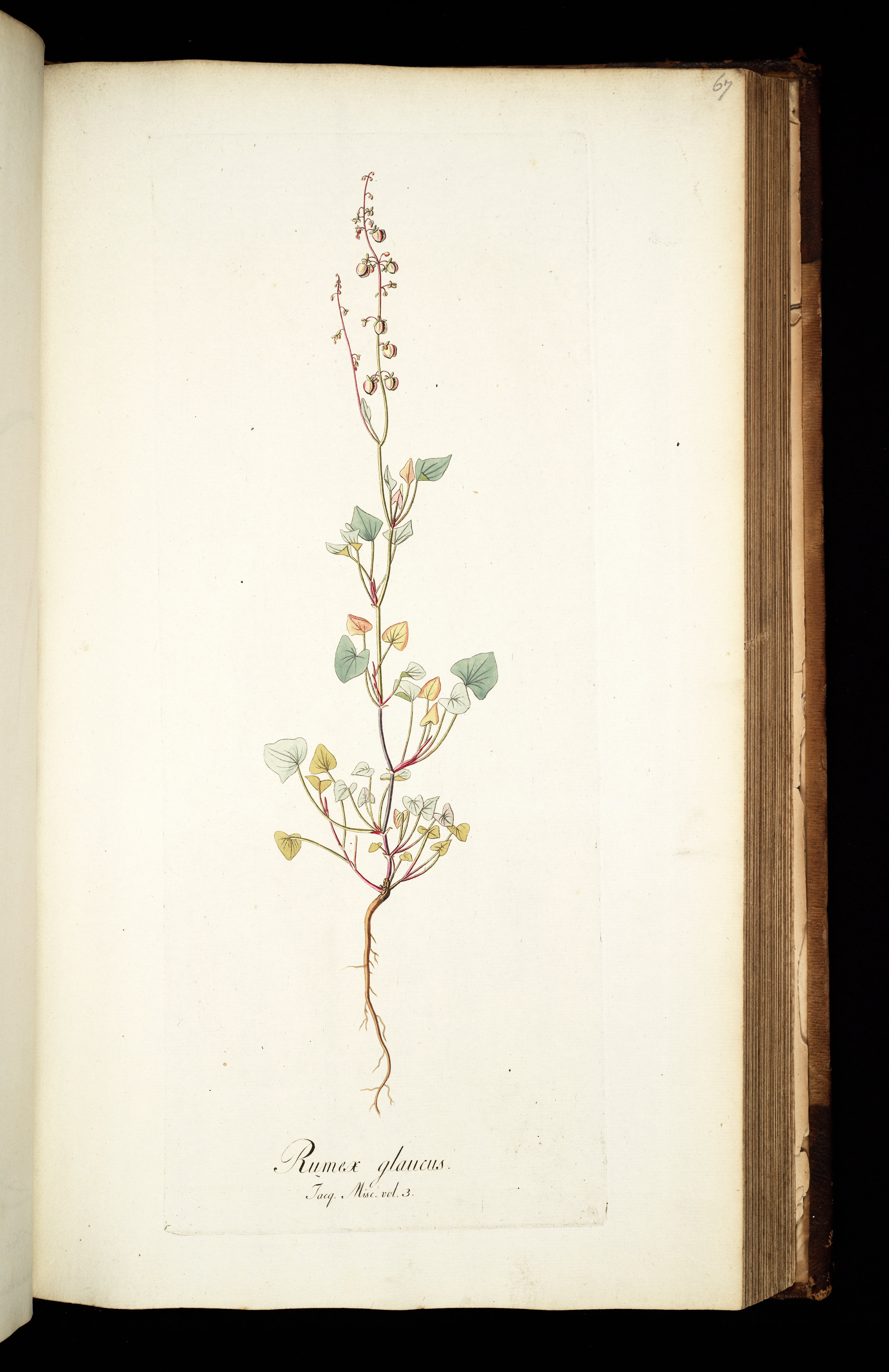 no full size  illustration available (3a)