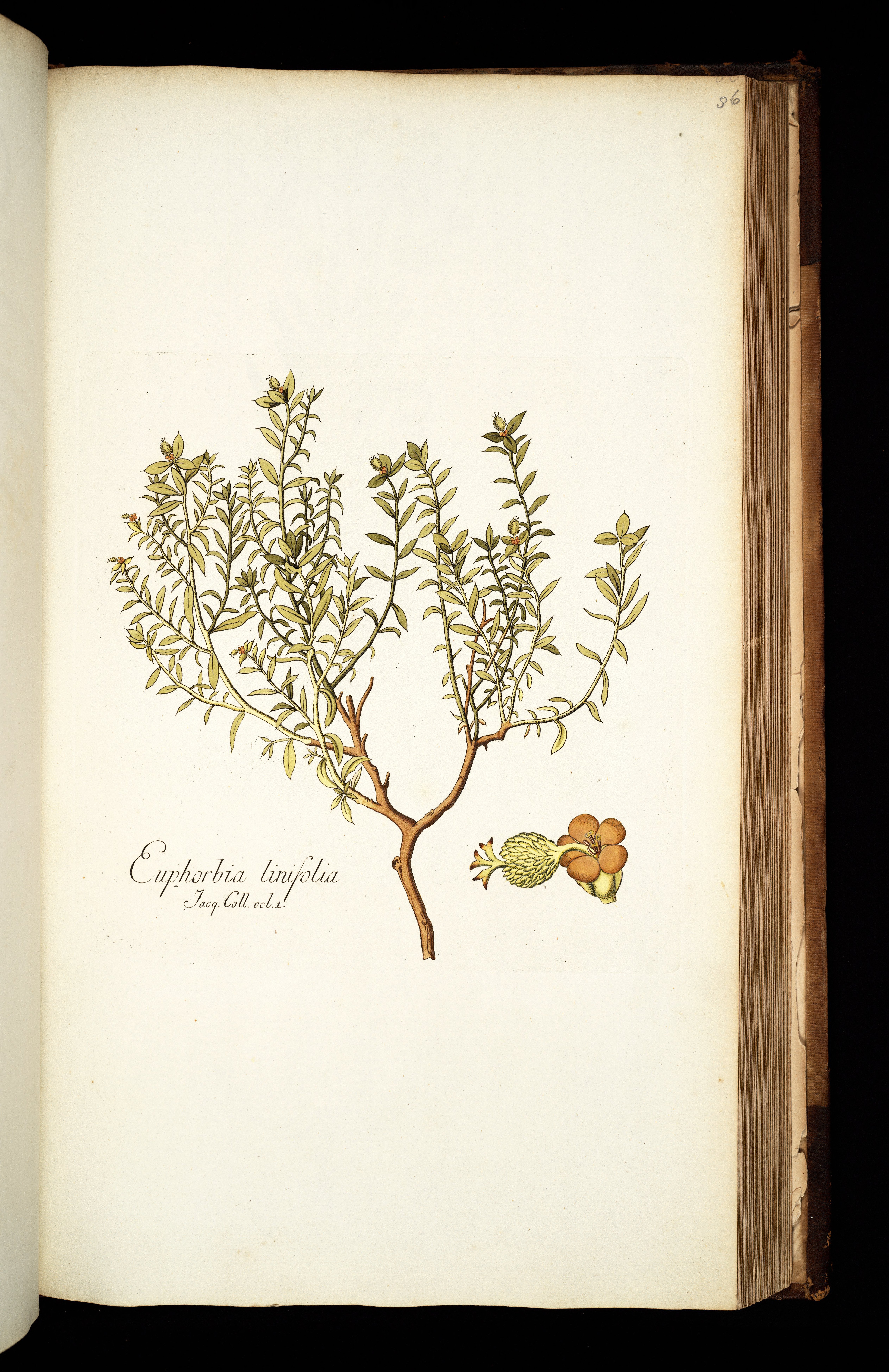 no full size  illustration available (3a)