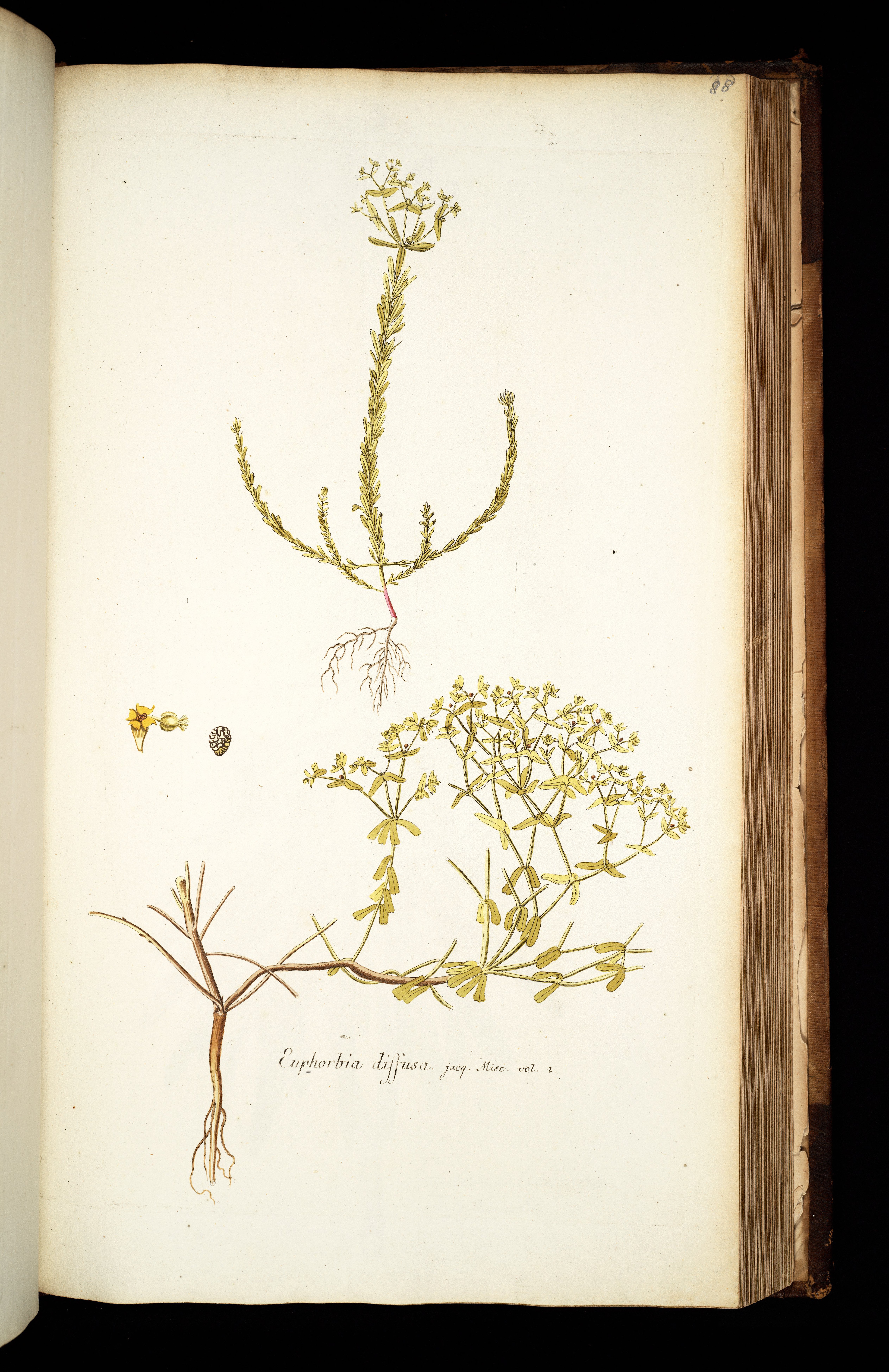 no full size  illustration available (3a)