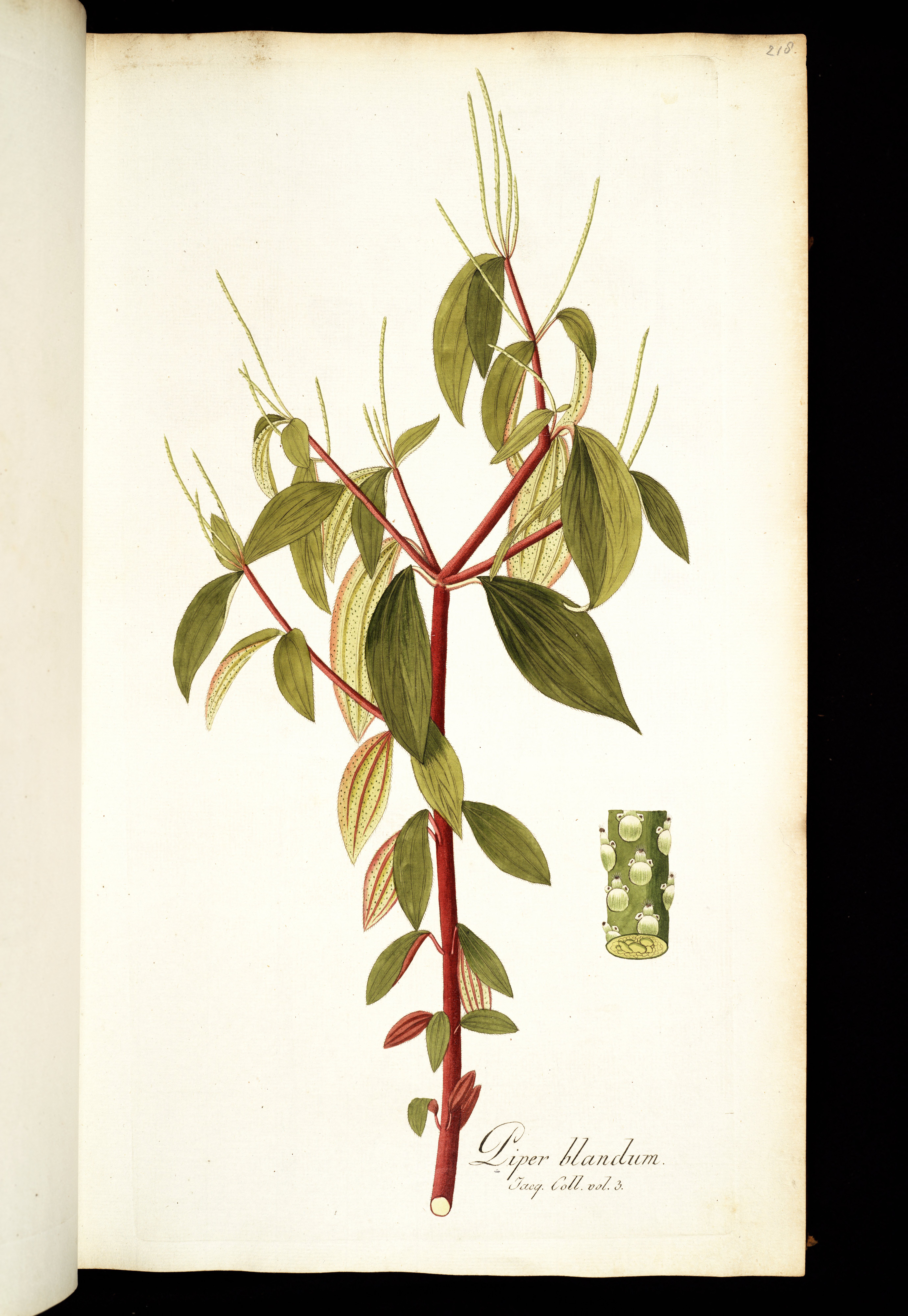 no full size  illustration available (3a)