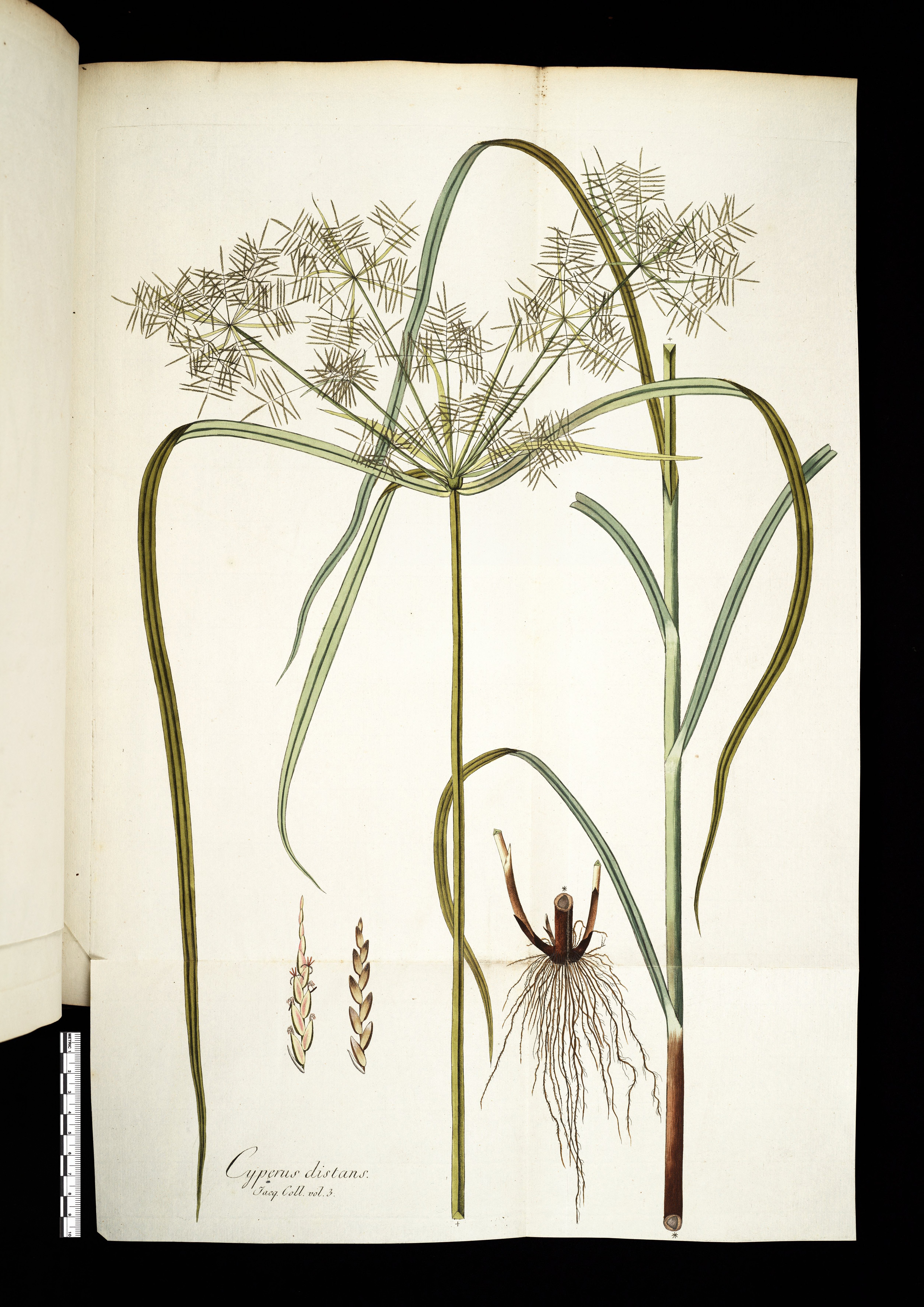 no full size  illustration available (3a)