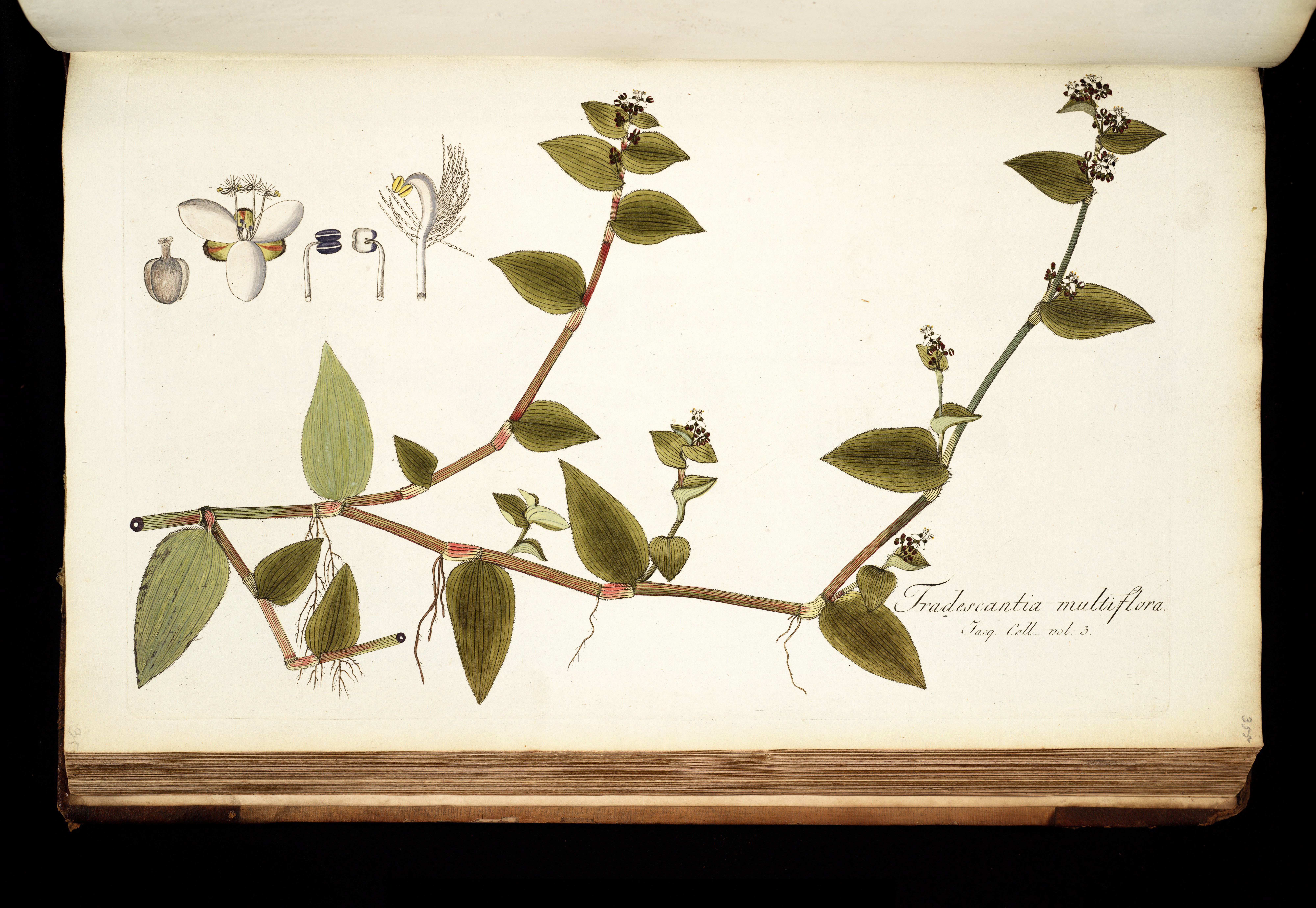 no full size  illustration available (3a)