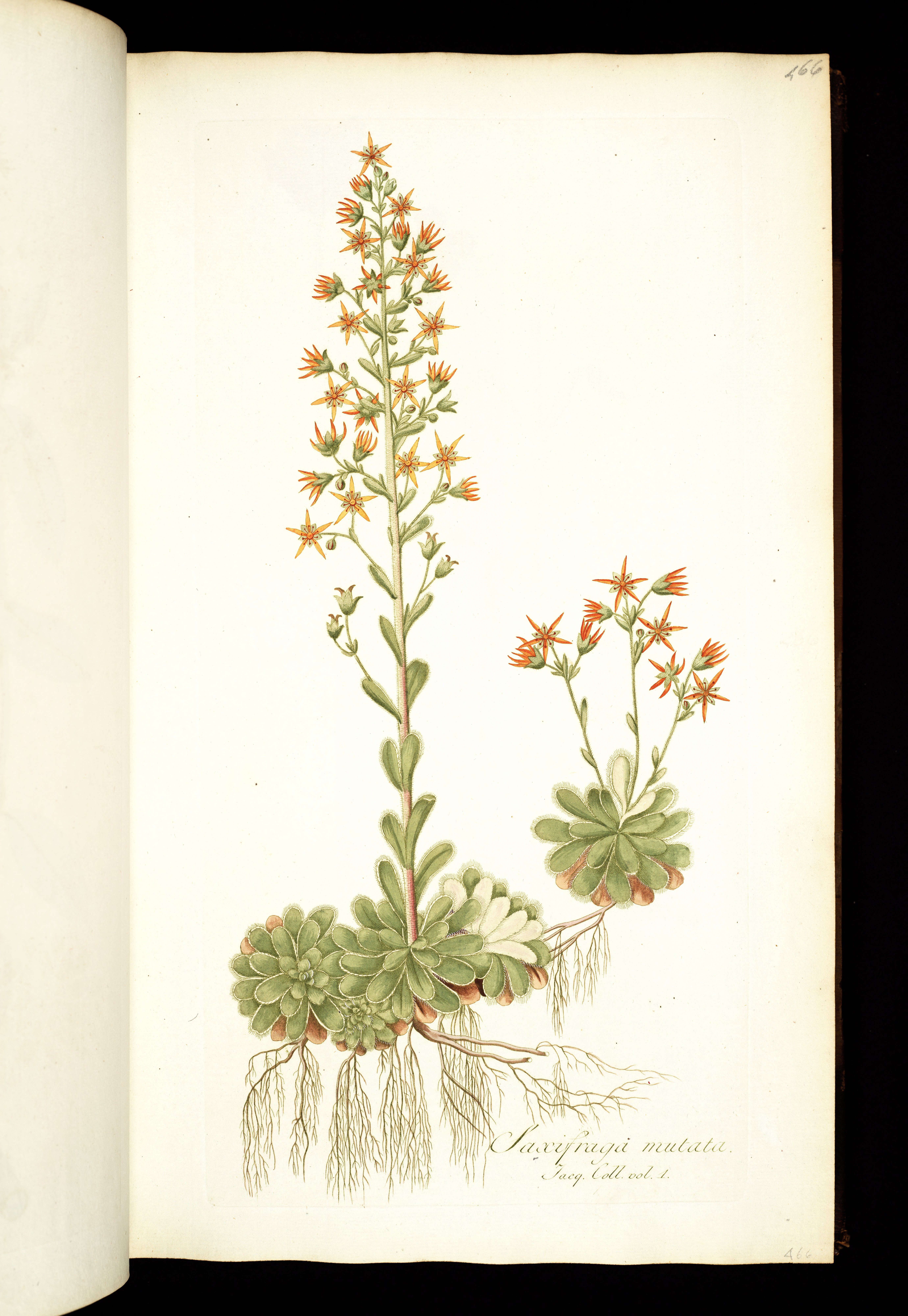 no full size  illustration available (3a)