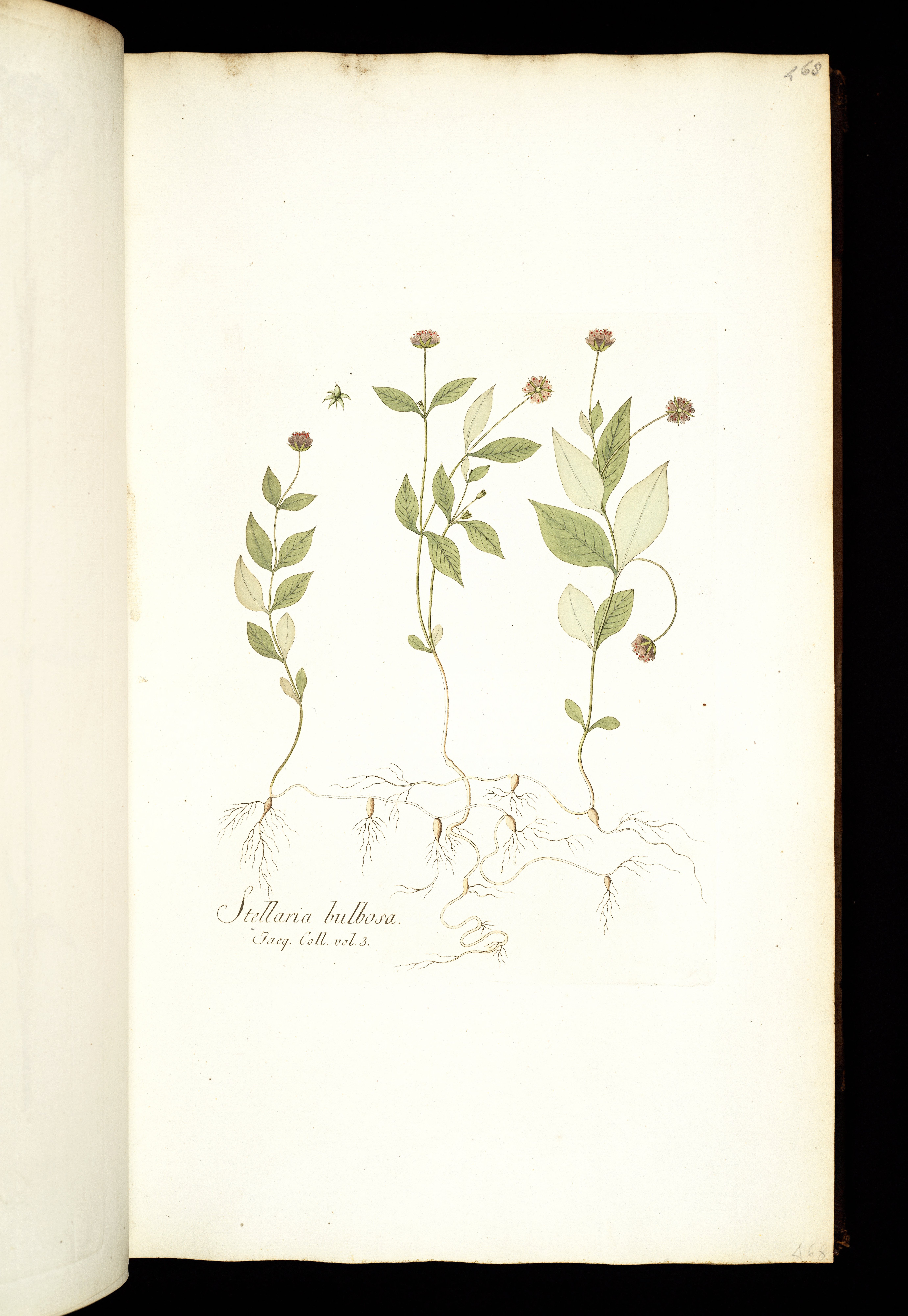 no full size  illustration available (3a)