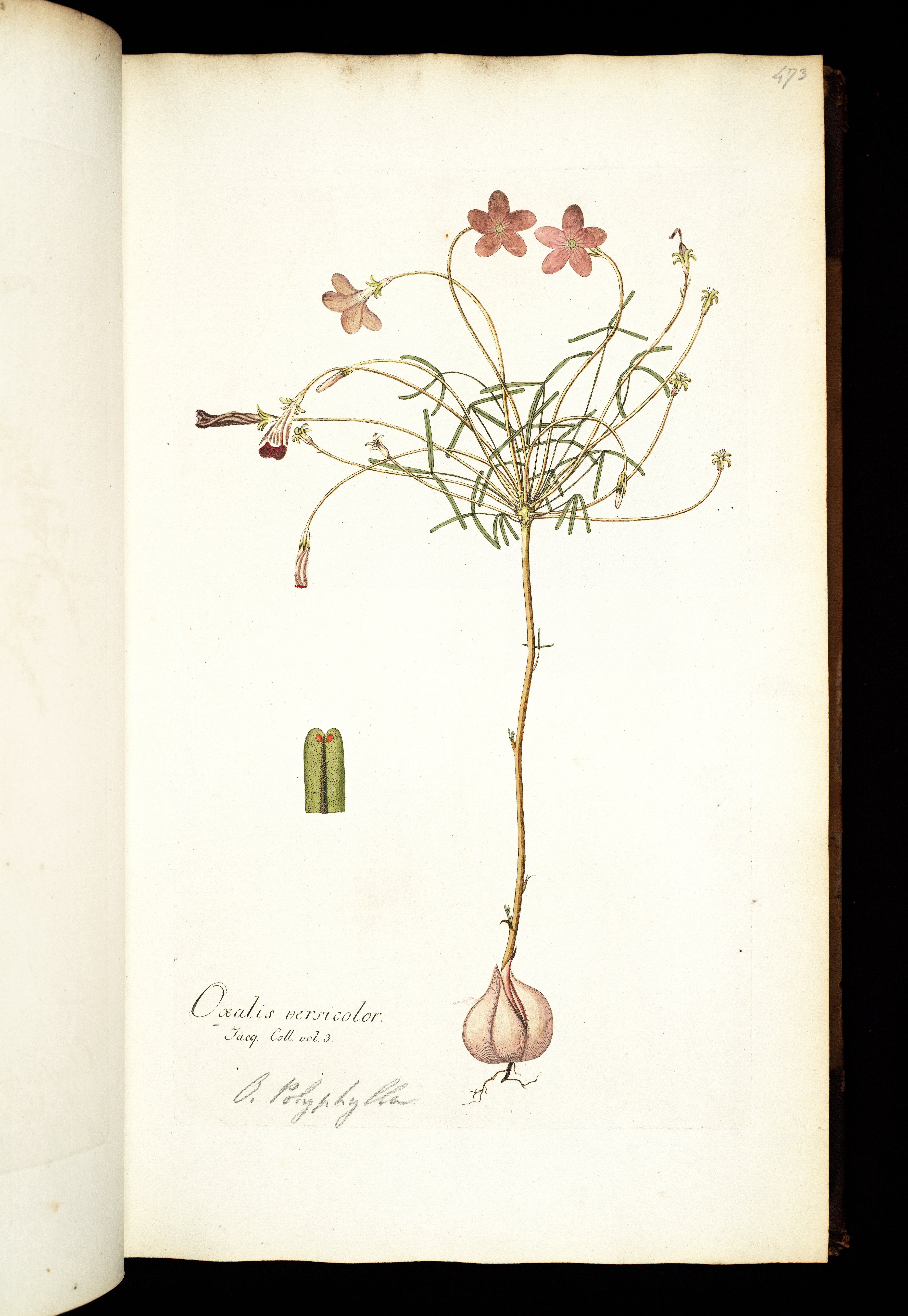 no full size  illustration available (3a)