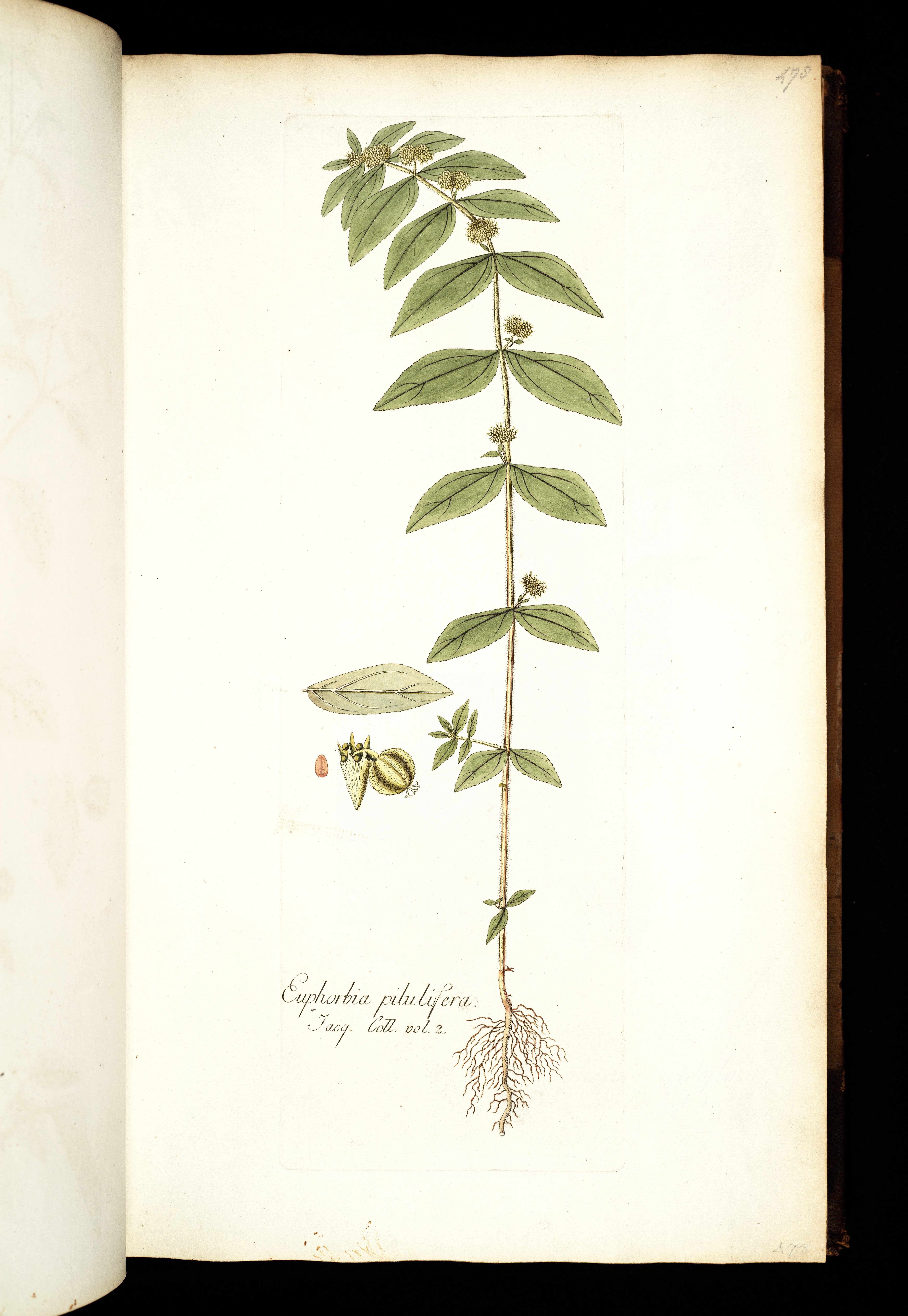 no full size  illustration available (3a)