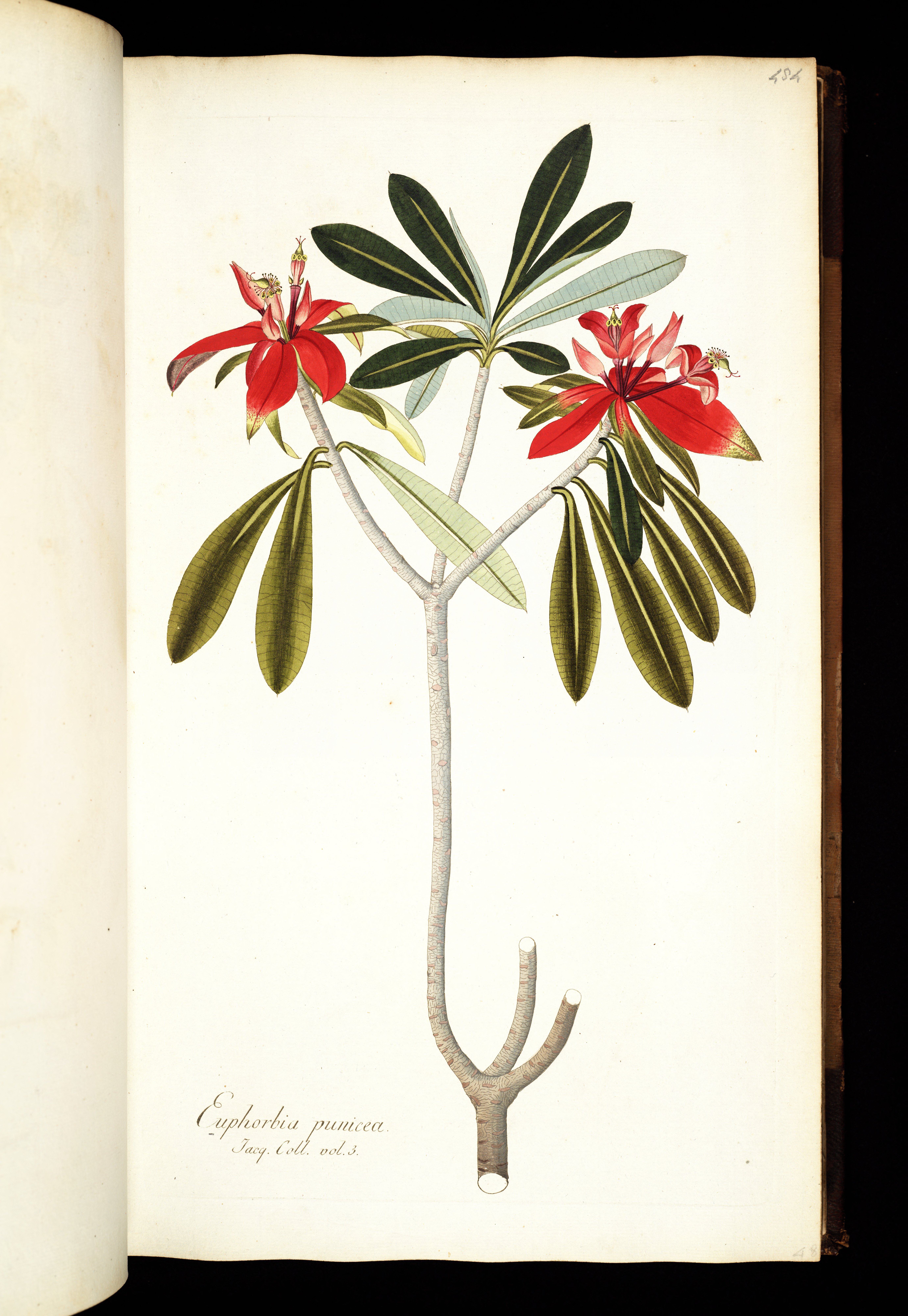 no full size  illustration available (3a)