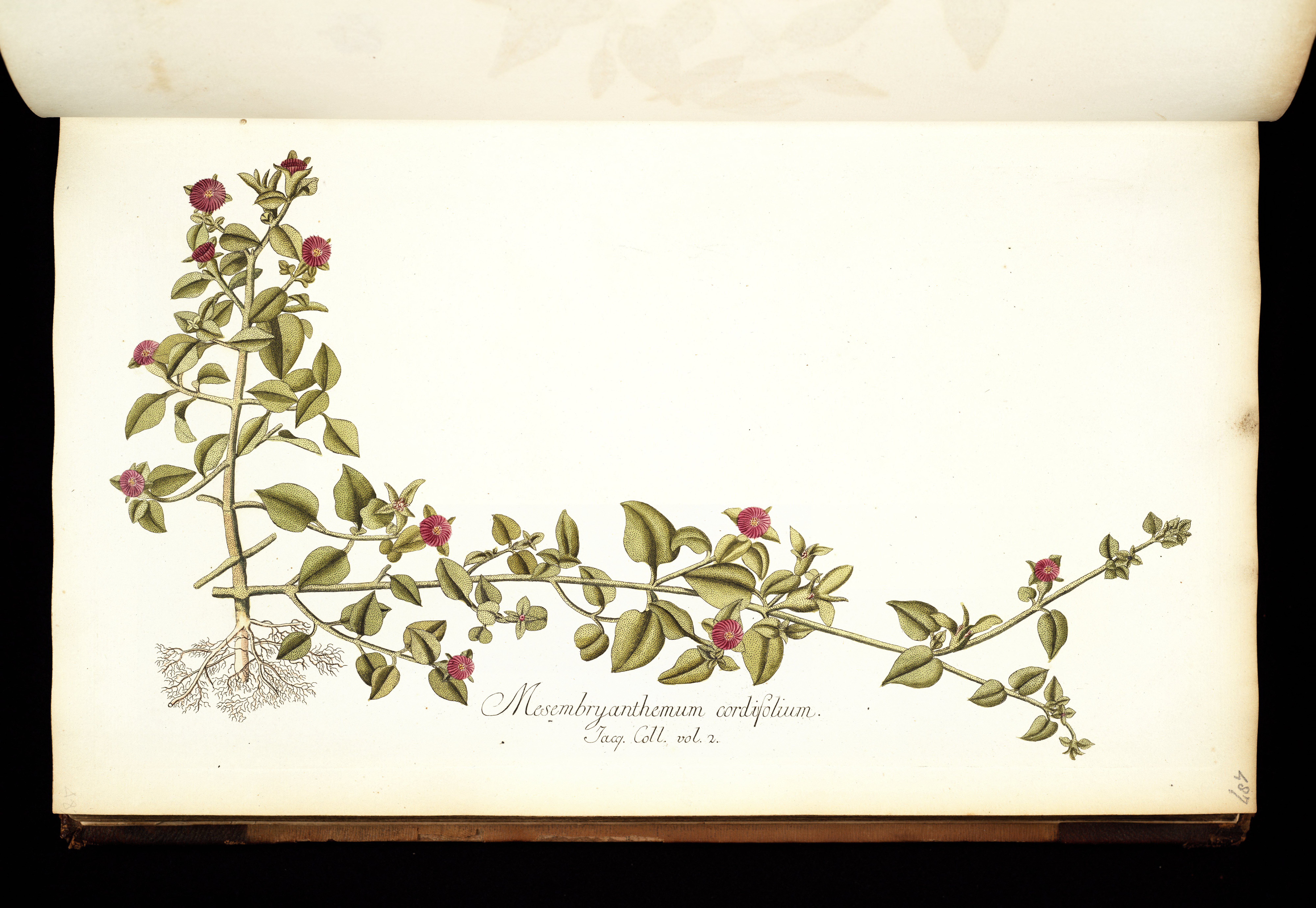 no full size  illustration available (3a)