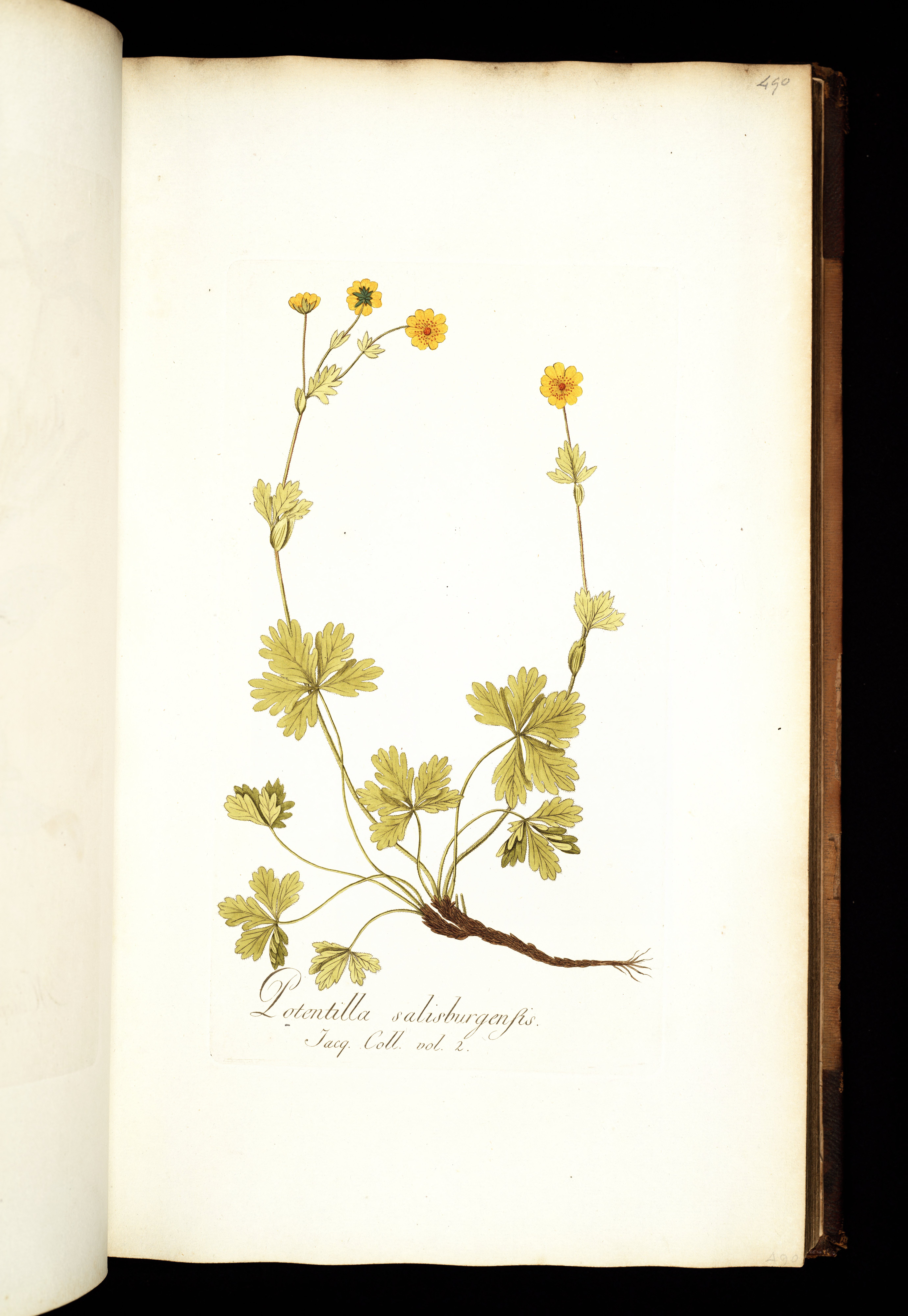 no full size  illustration available (3a)