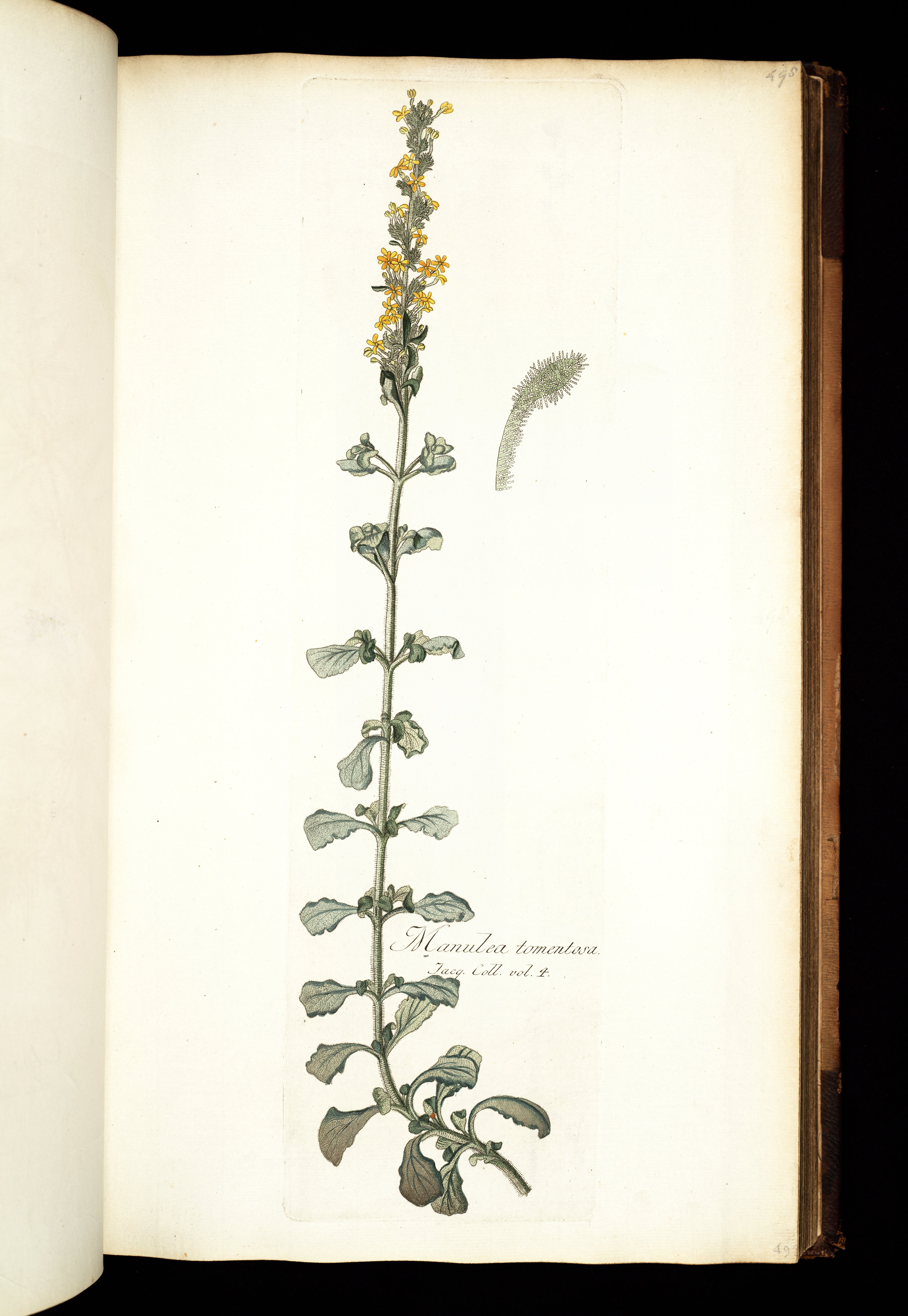 no full size  illustration available (3a)