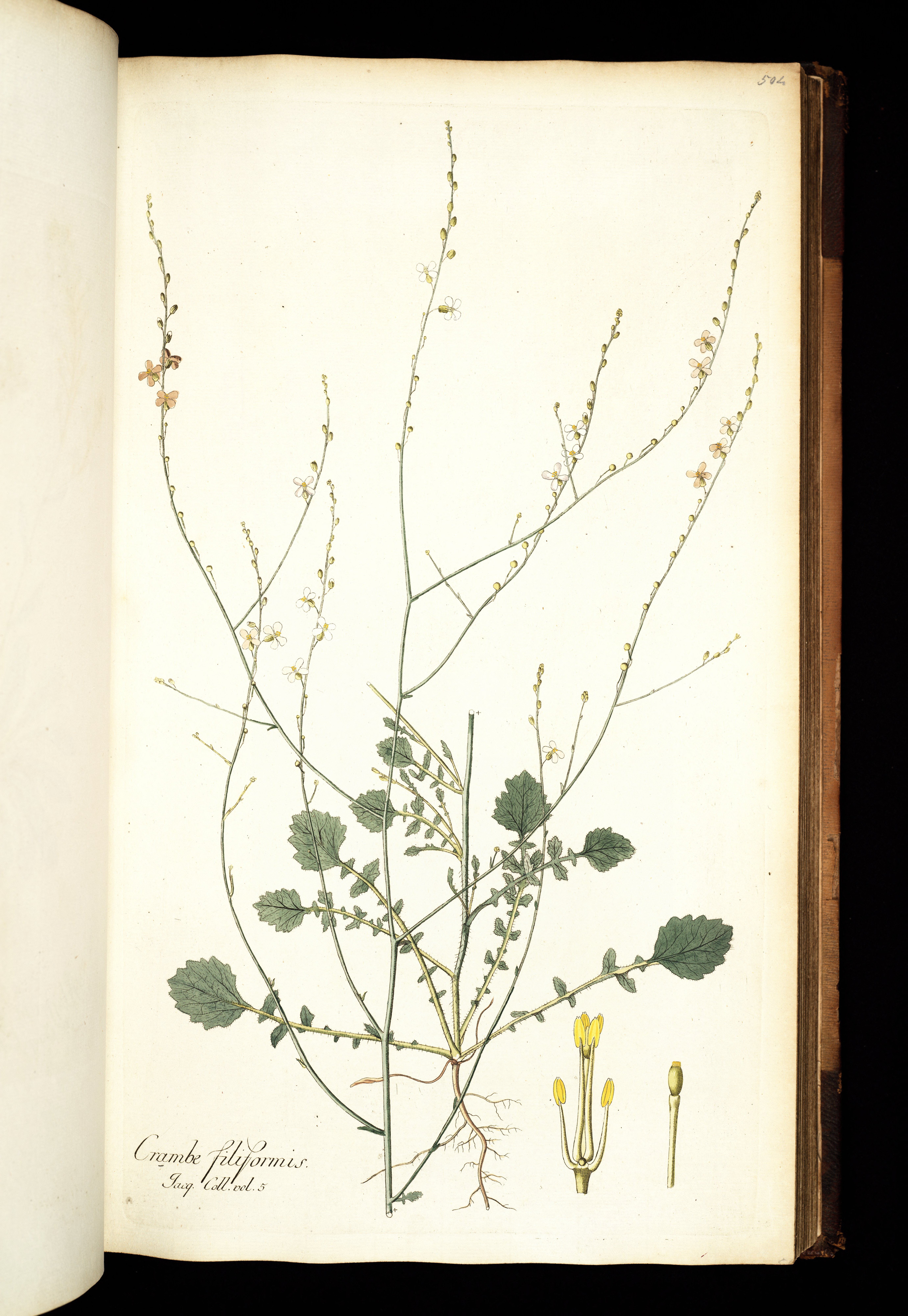 no full size  illustration available (3a)