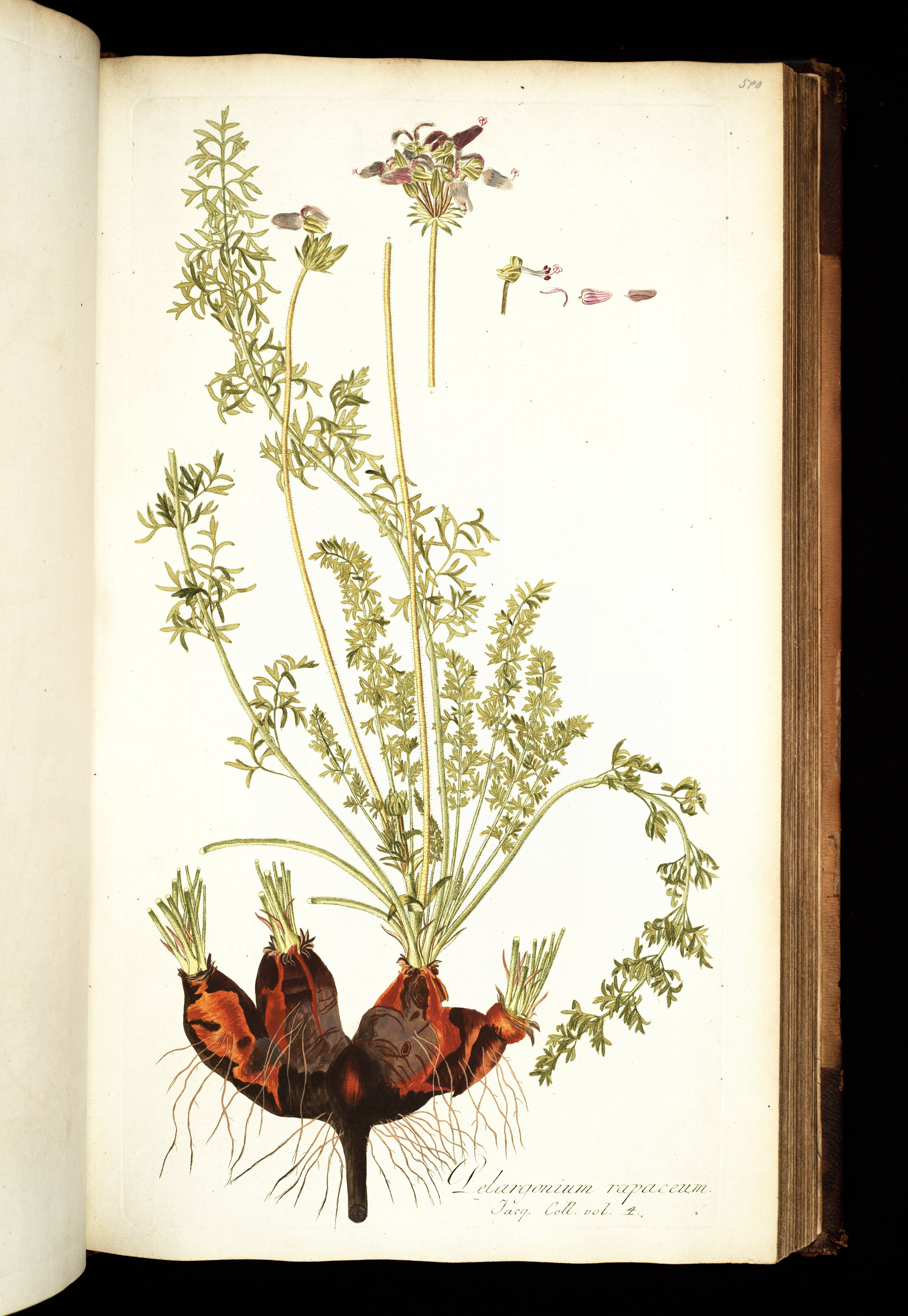 no full size  illustration available (3a)