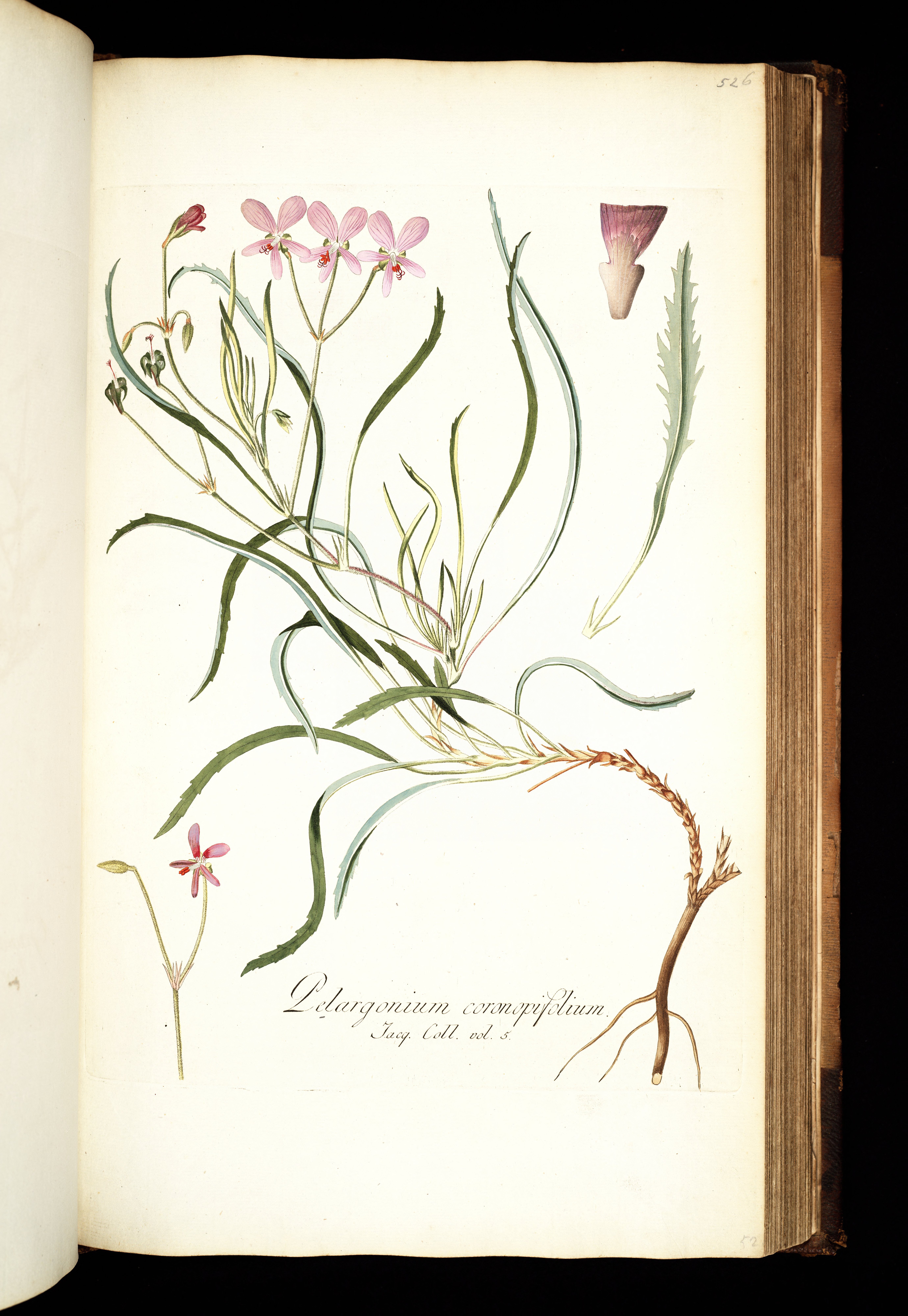 no full size  illustration available (3a)