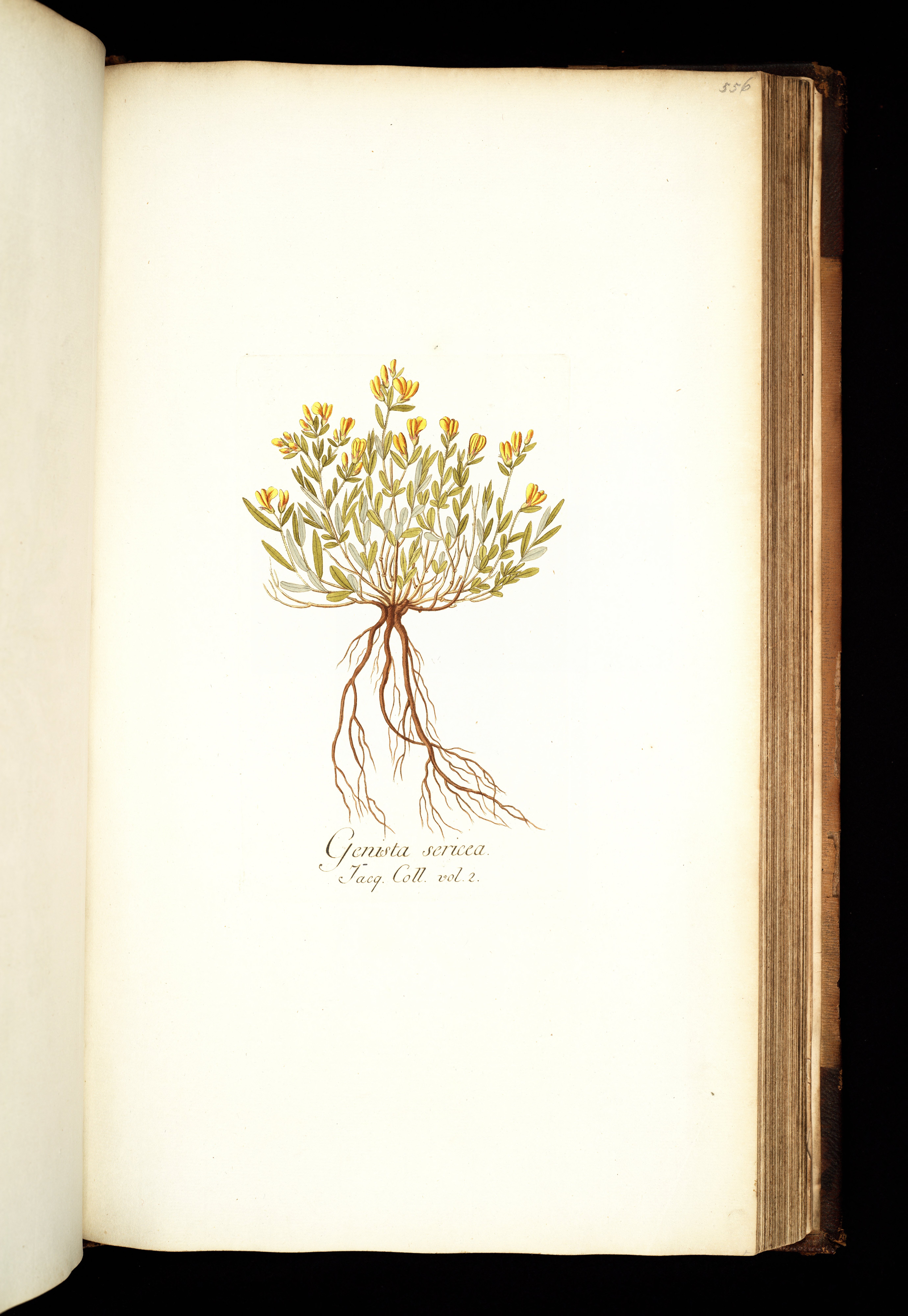 no full size  illustration available (3a)