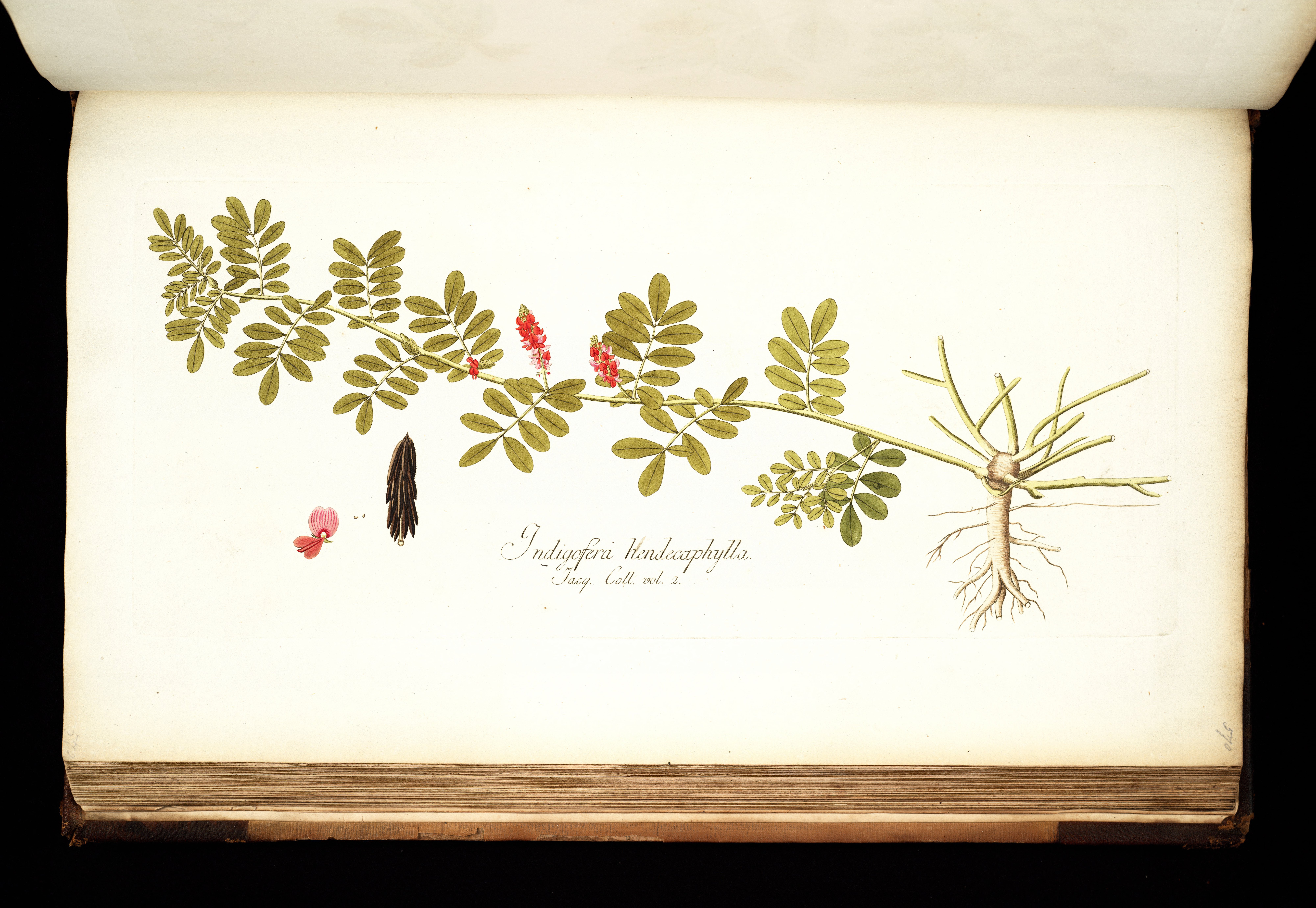 no full size  illustration available (3a)