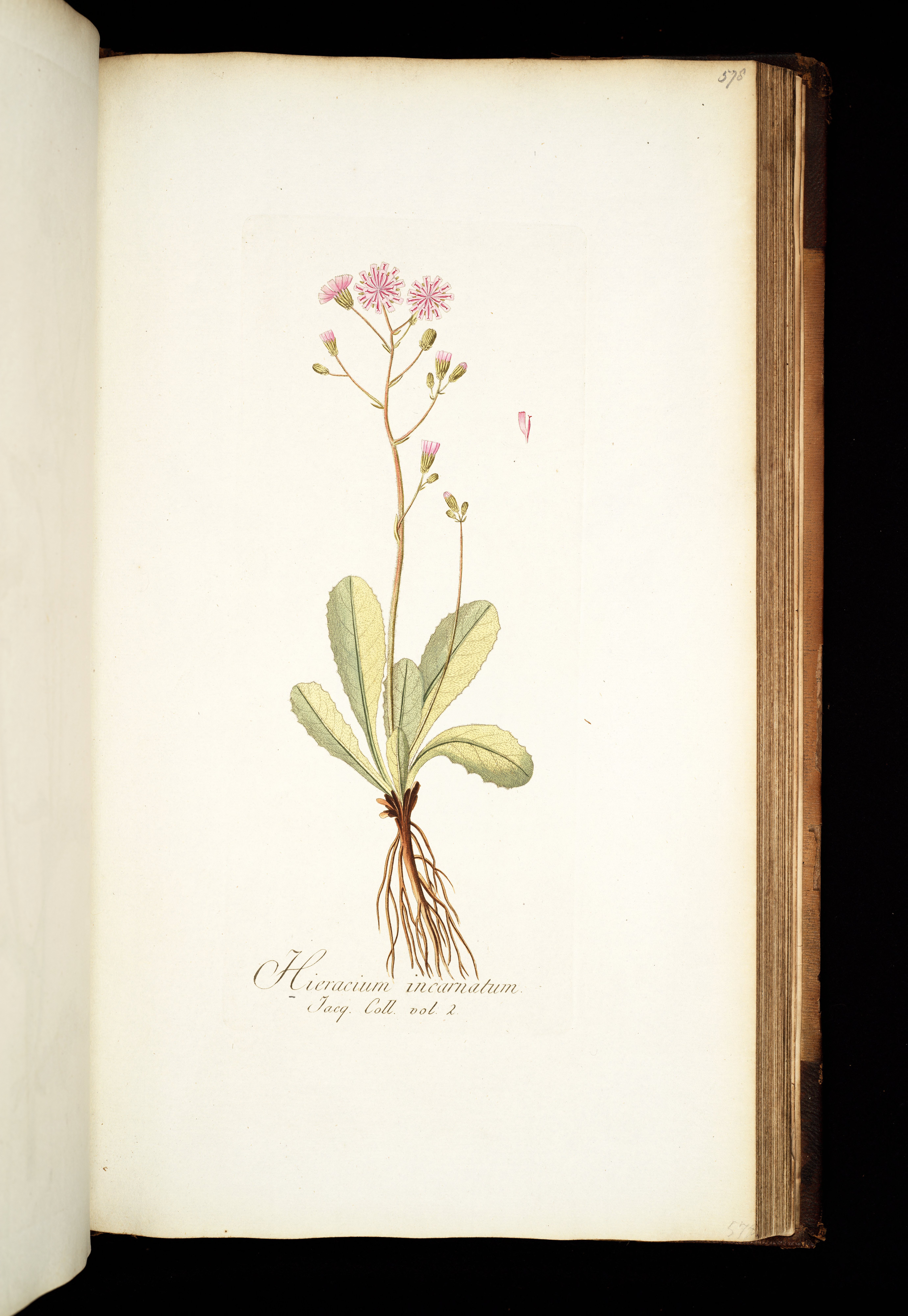 no full size  illustration available (3a)