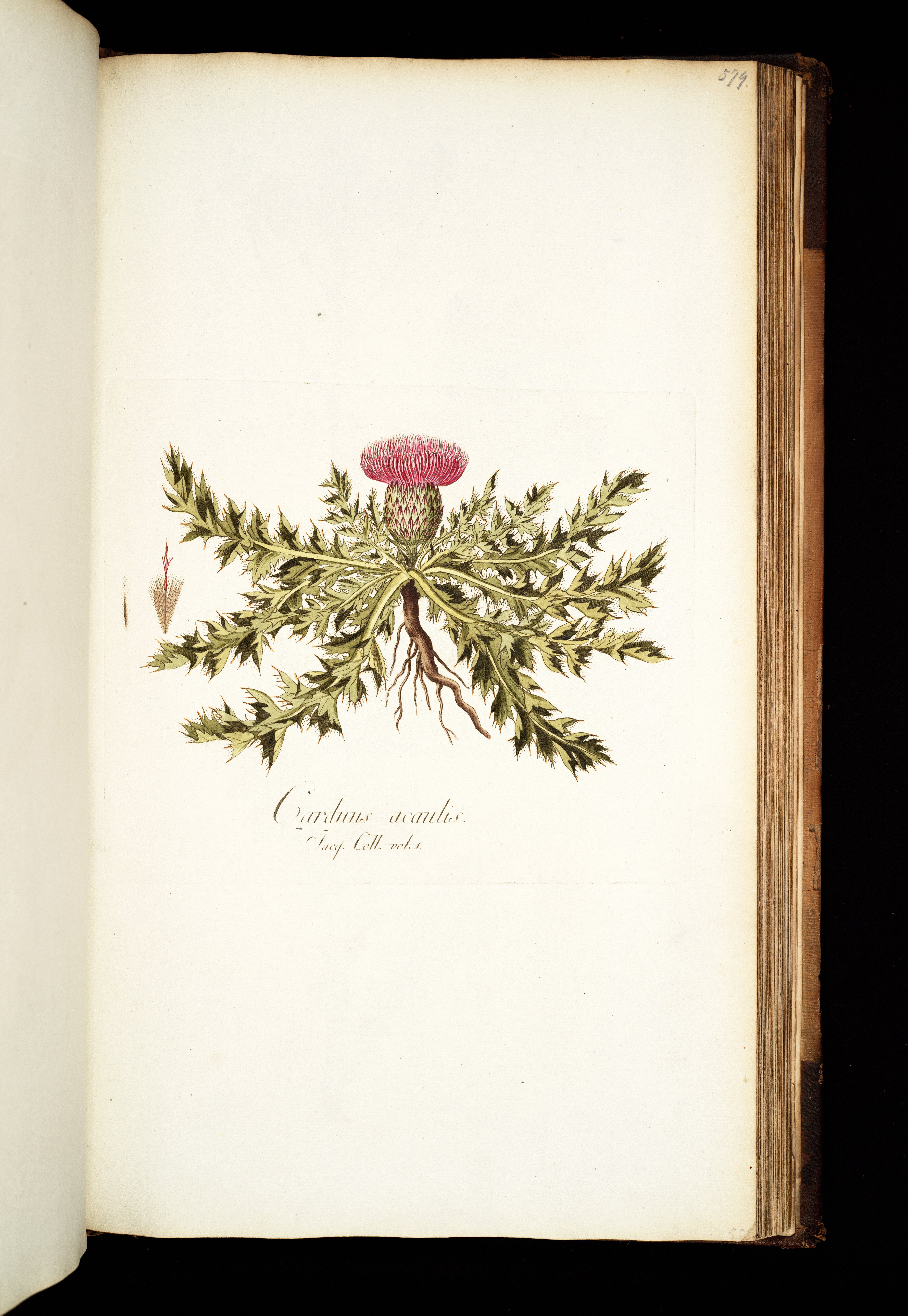 no full size  illustration available (3a)