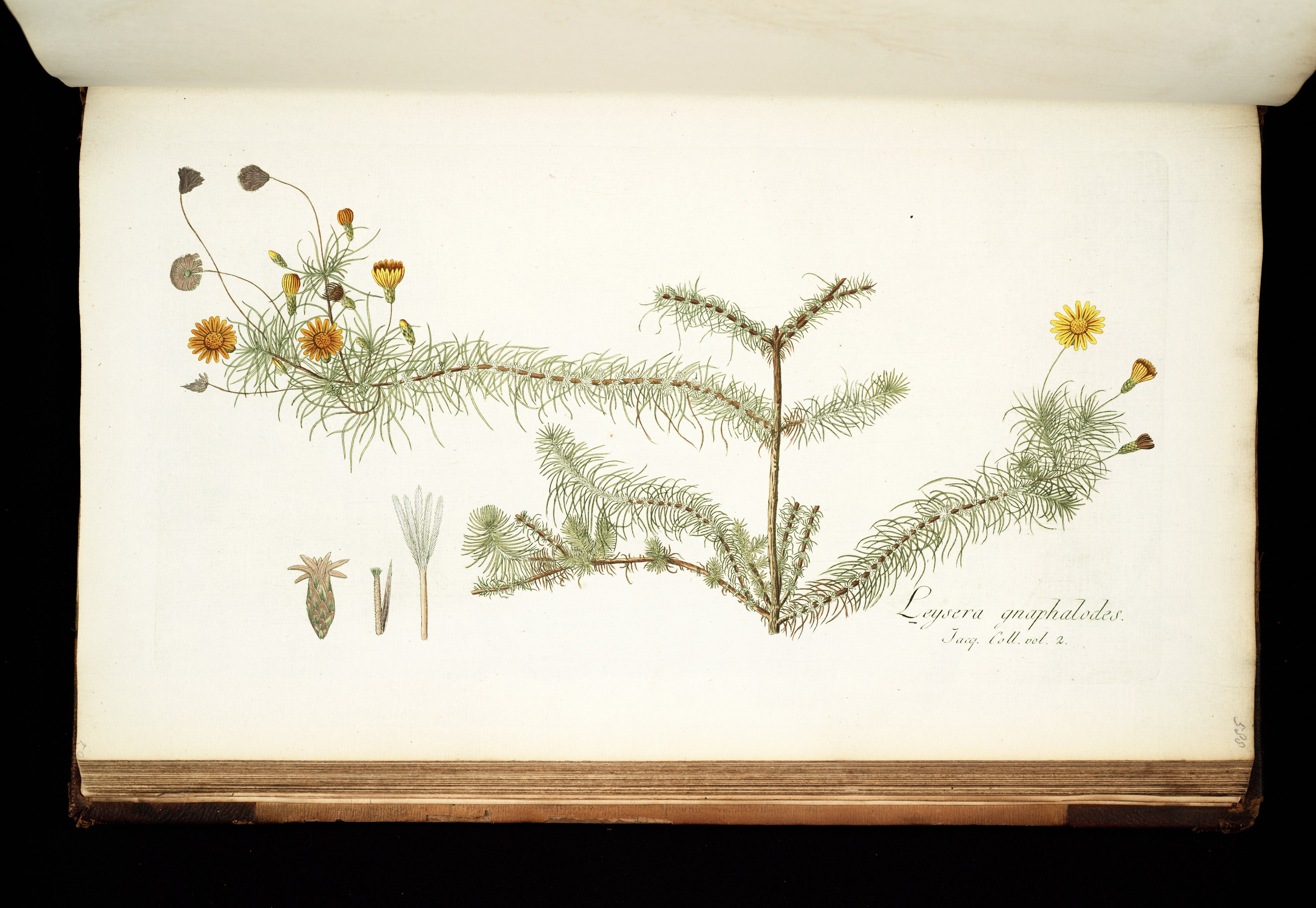 no full size  illustration available (3a)