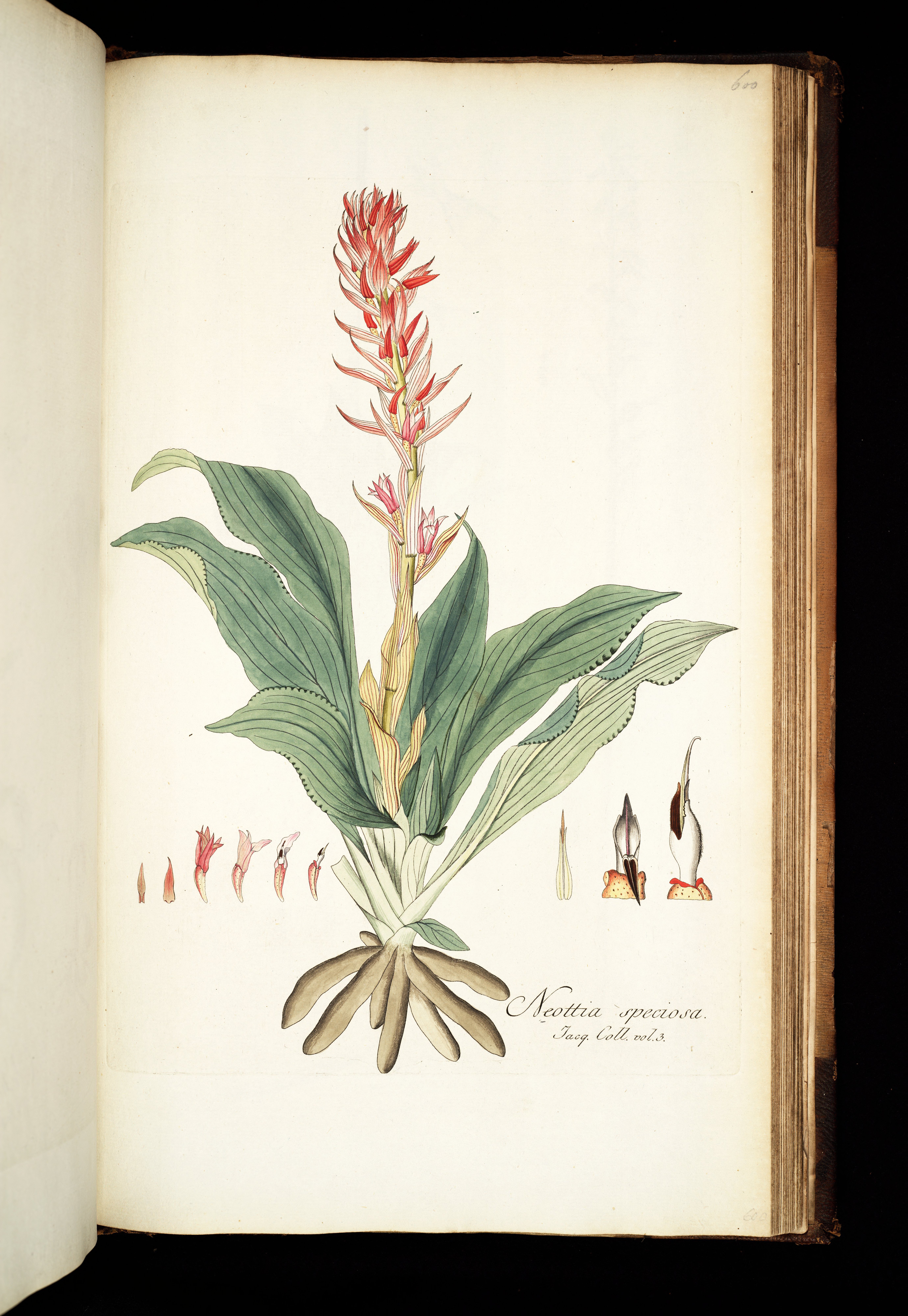 no full size  illustration available (3a)