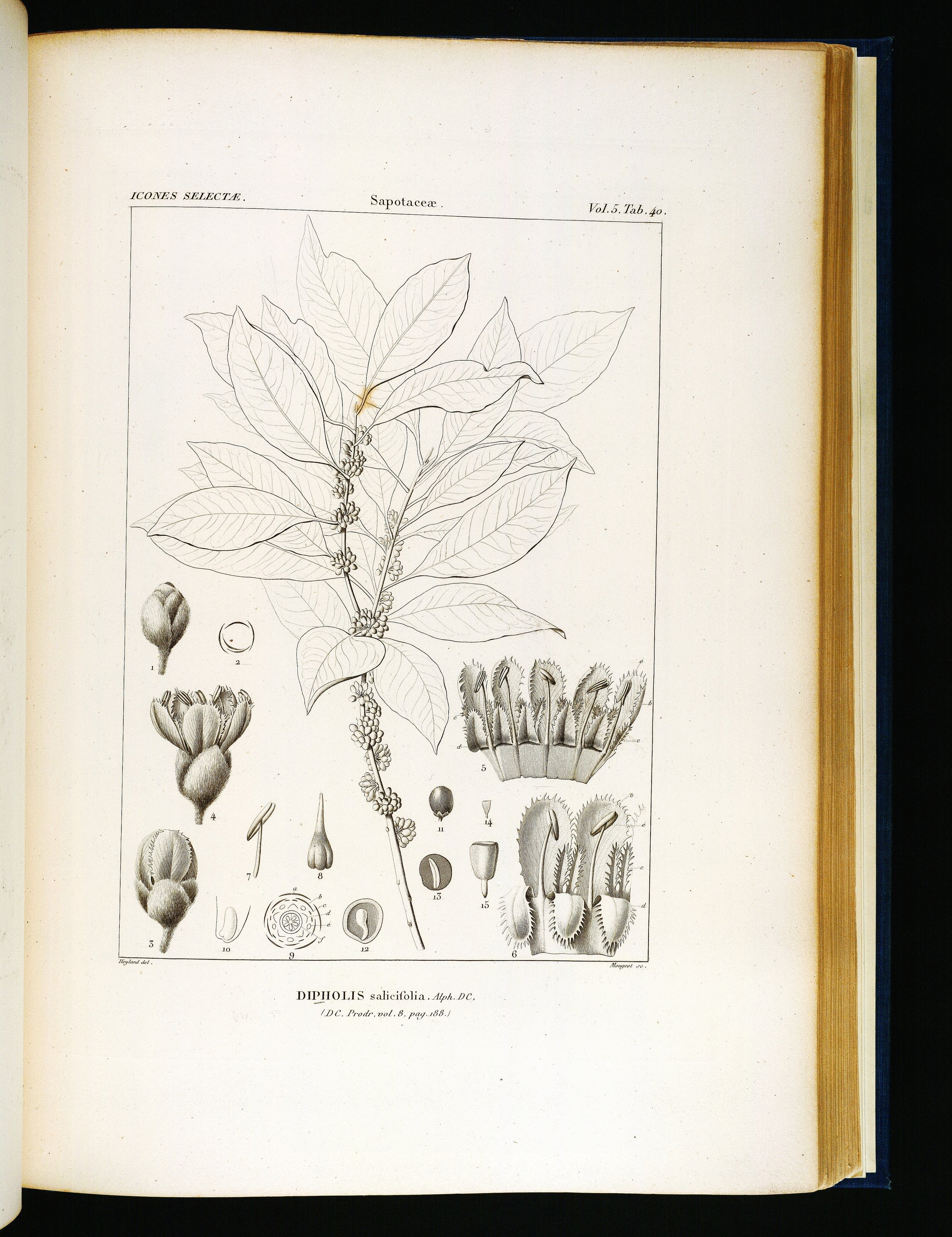 no full size  illustration available (3a)