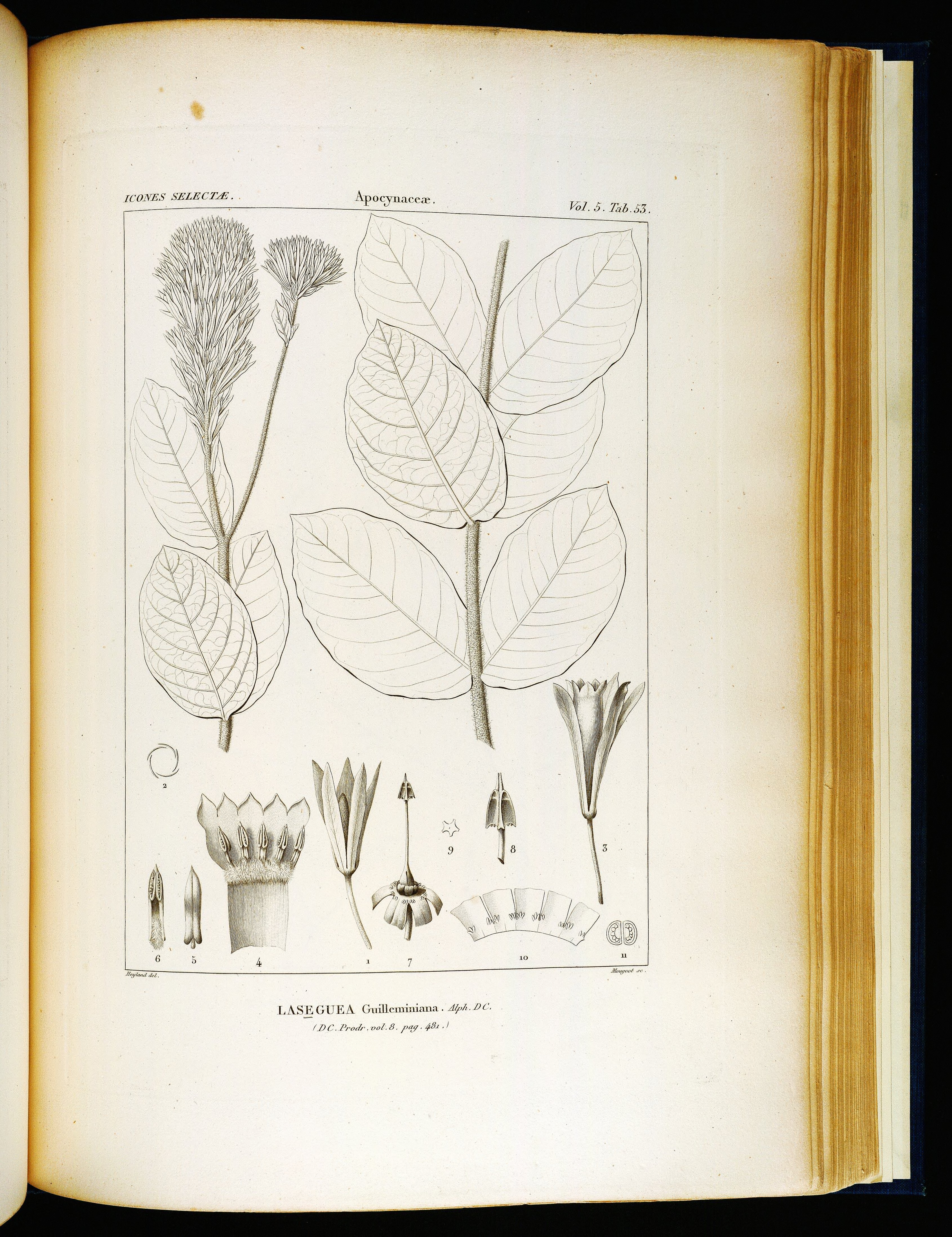 no full size  illustration available (3a)