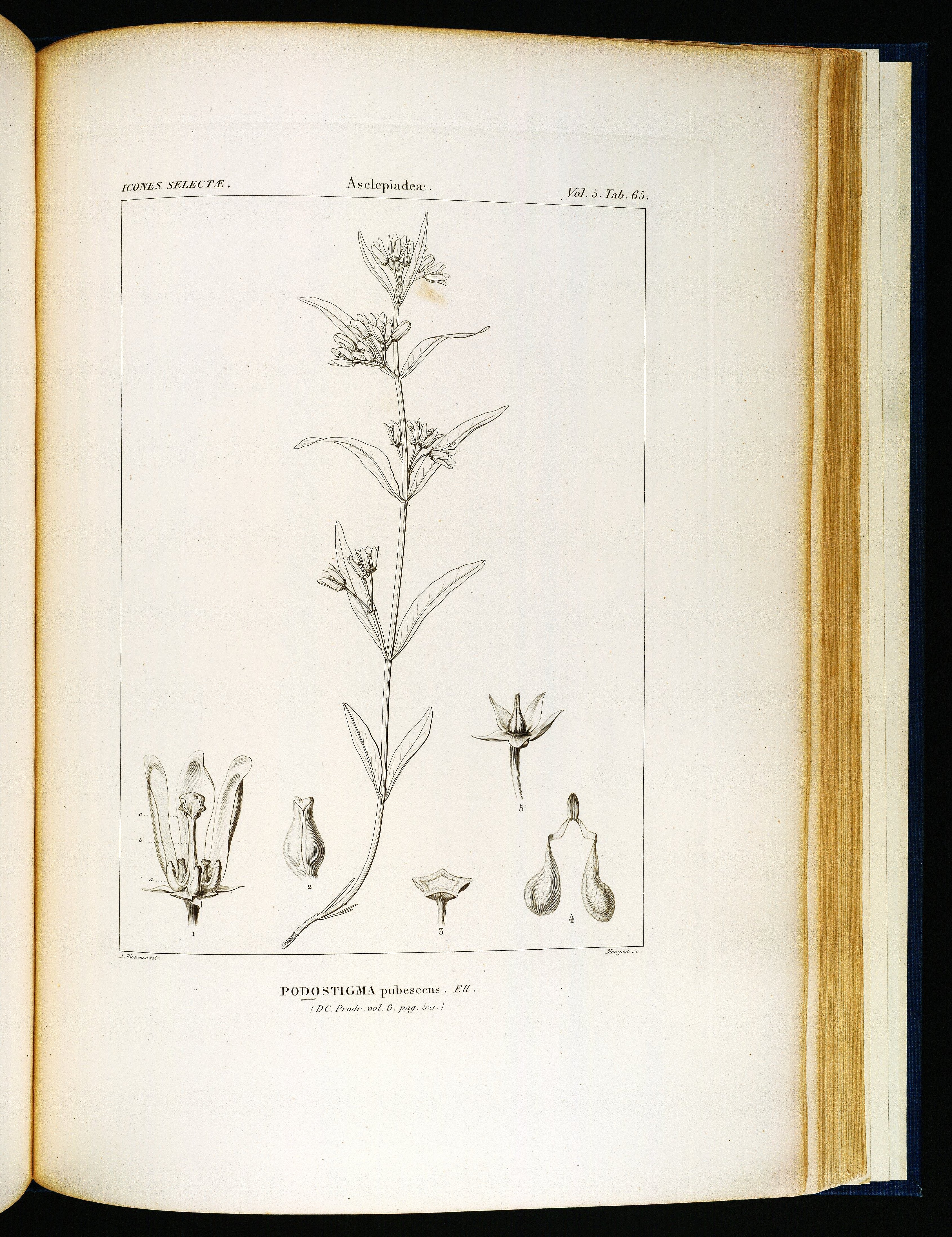 no full size  illustration available (3a)