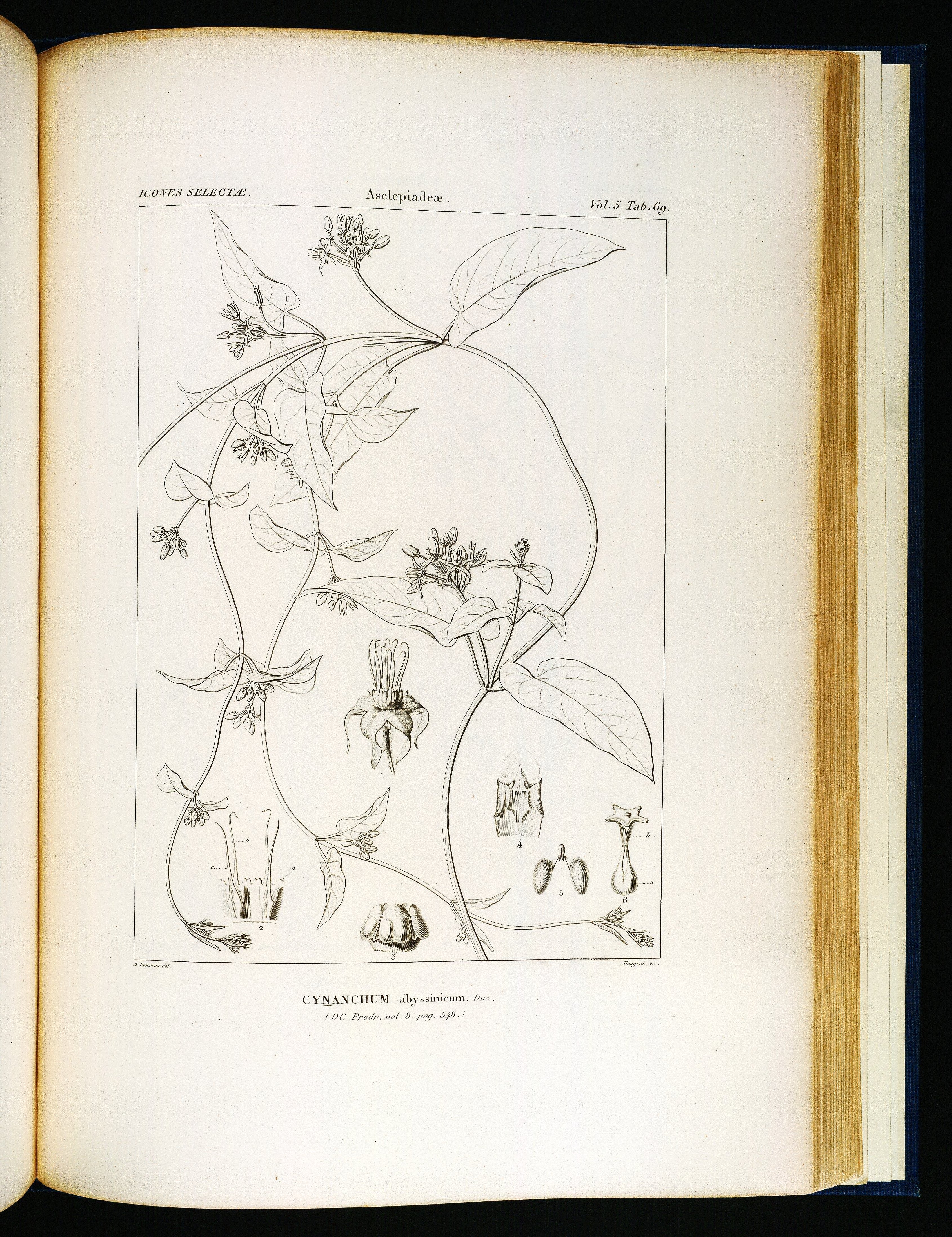 no full size  illustration available (3a)