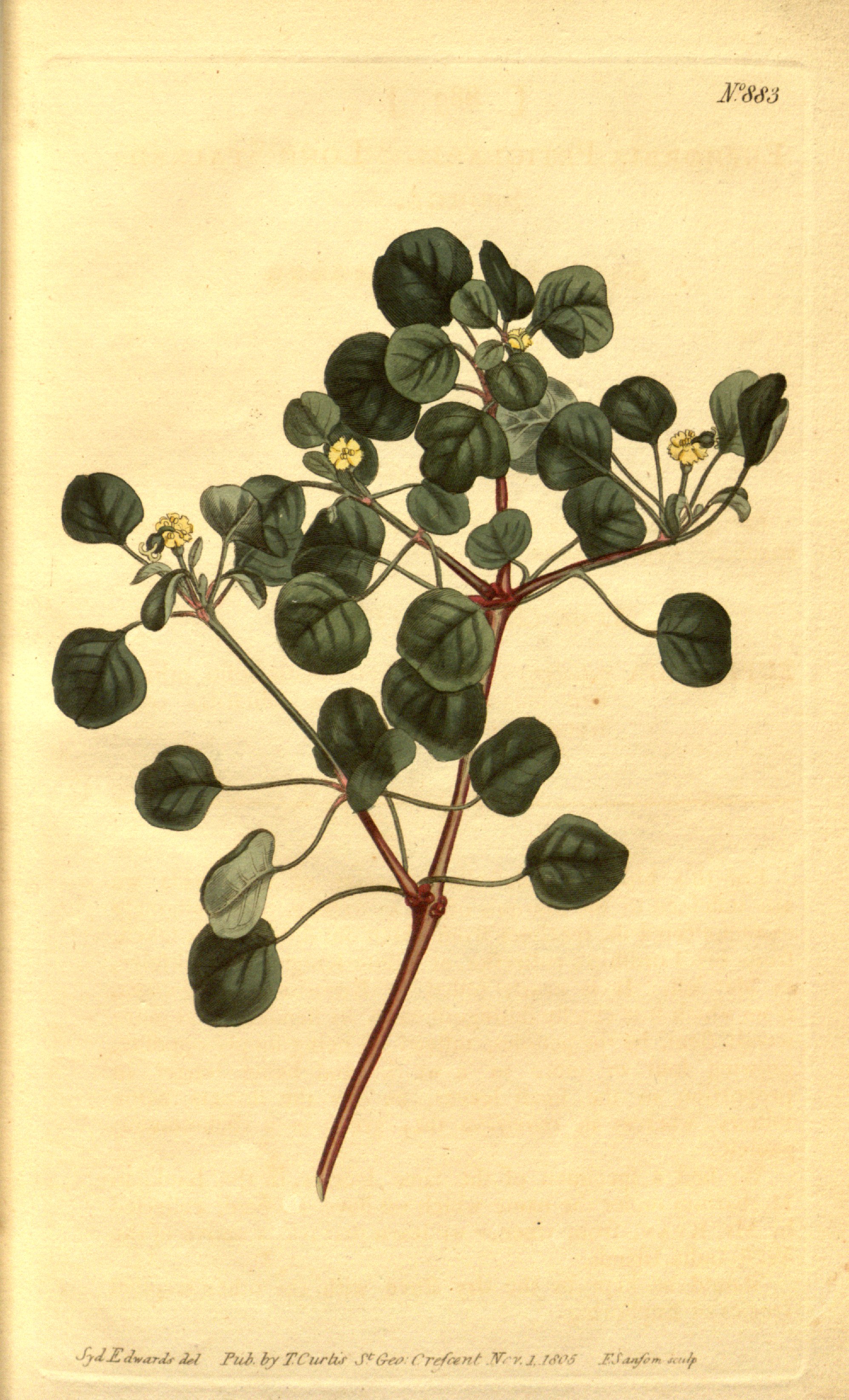 no full size  illustration available (3a)