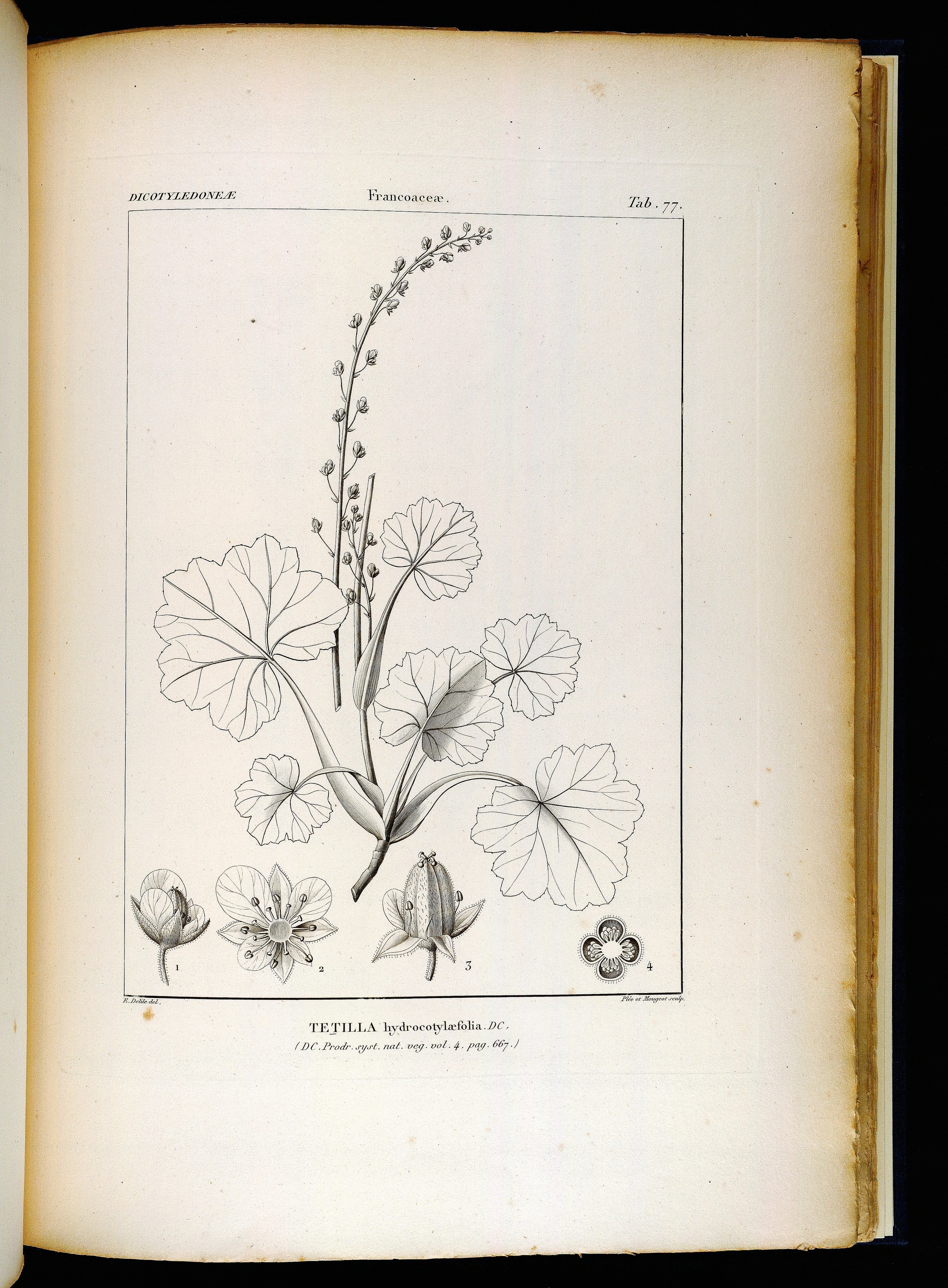 no full size  illustration available (3a)