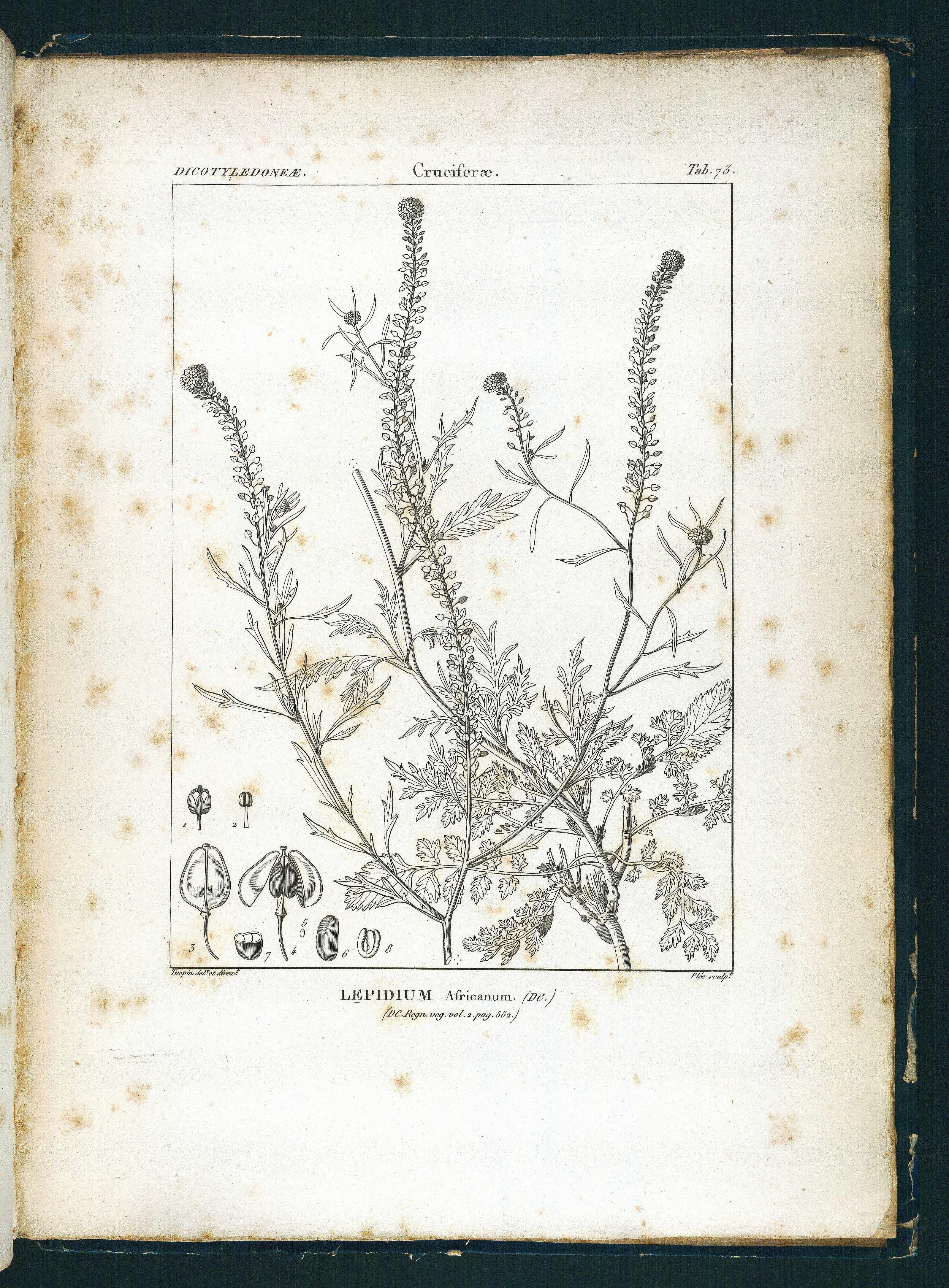 no full size  illustration available (3a)