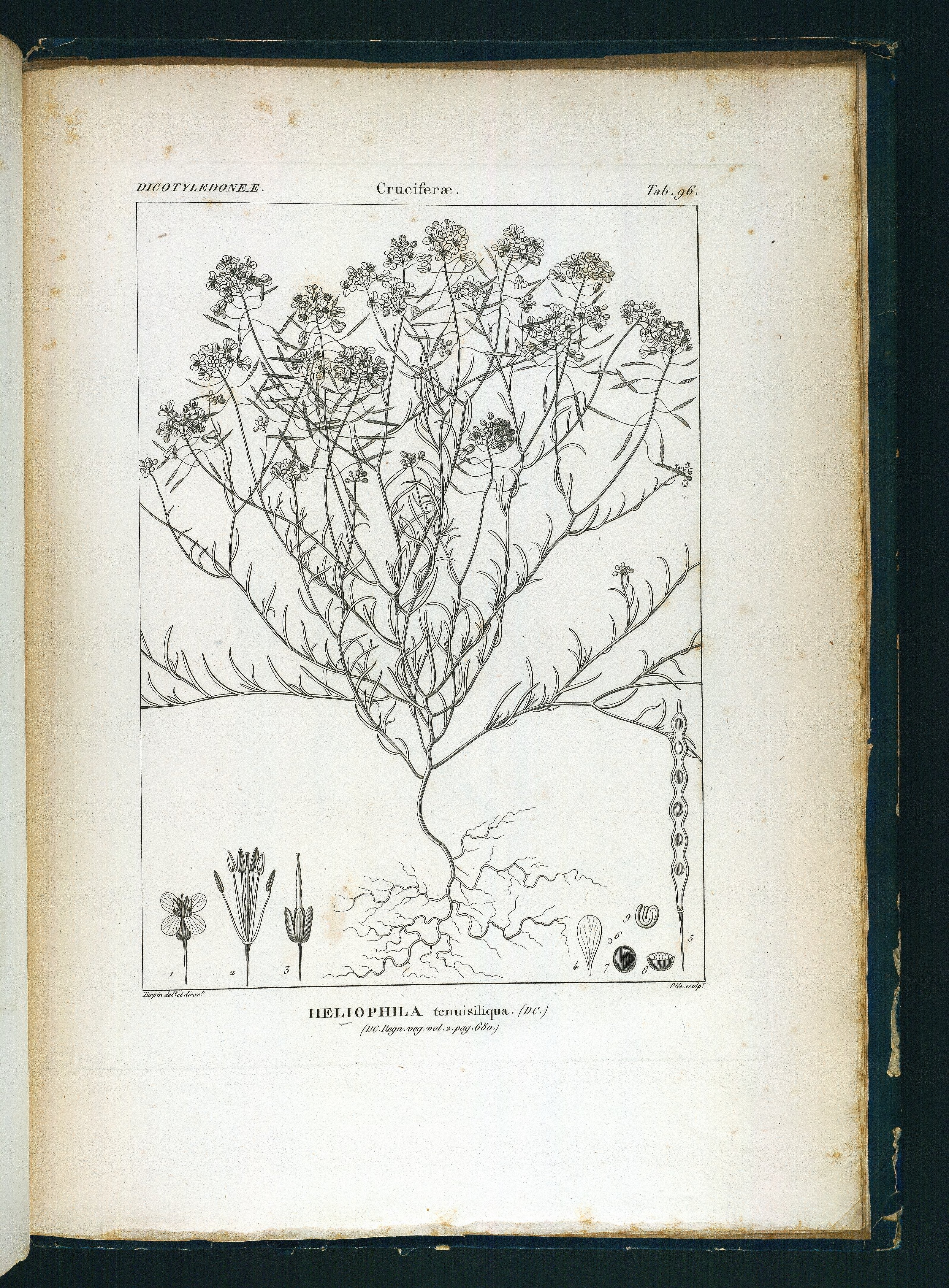 no full size  illustration available (3a)