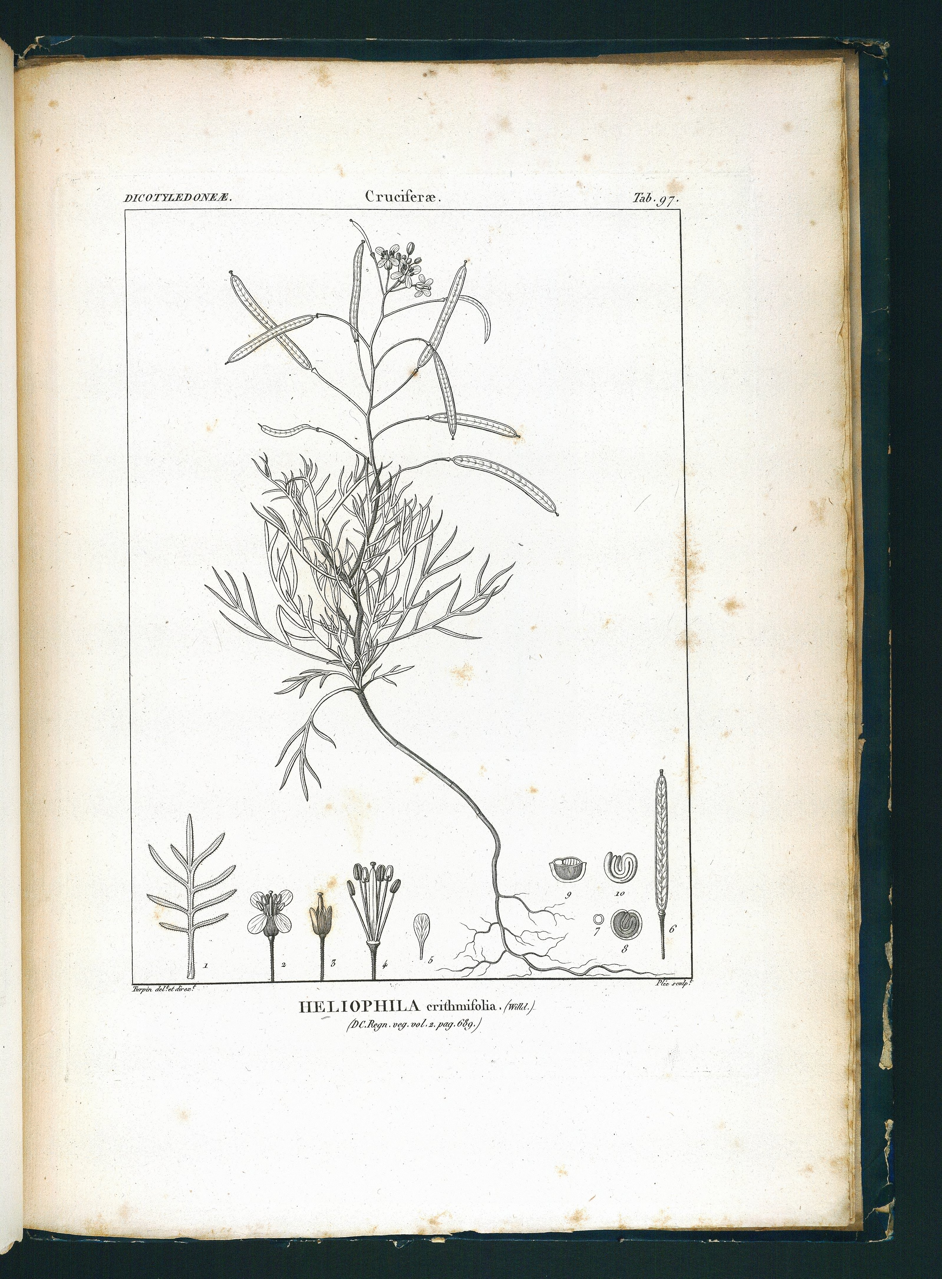 no full size  illustration available (3a)