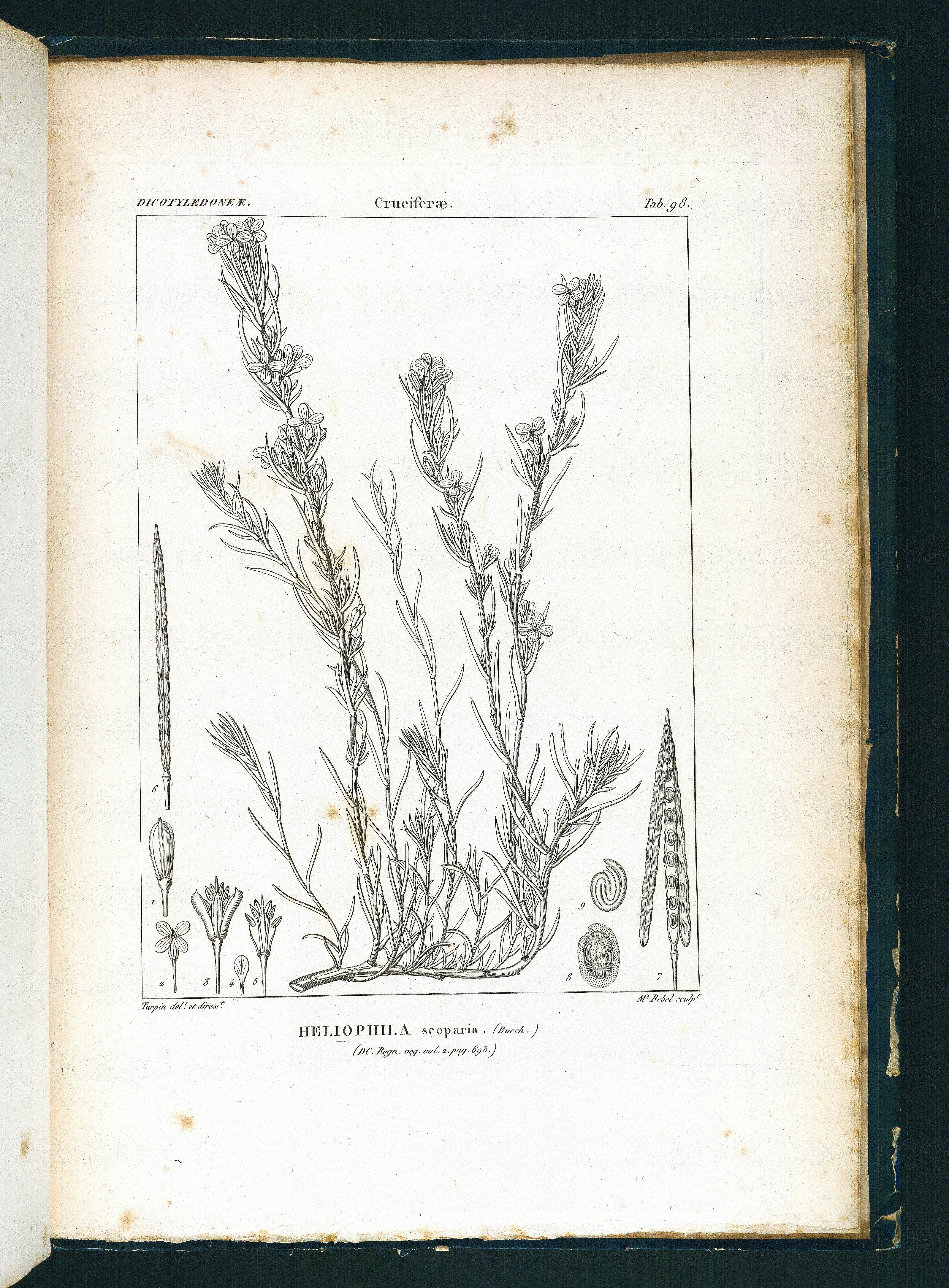 no full size  illustration available (3a)