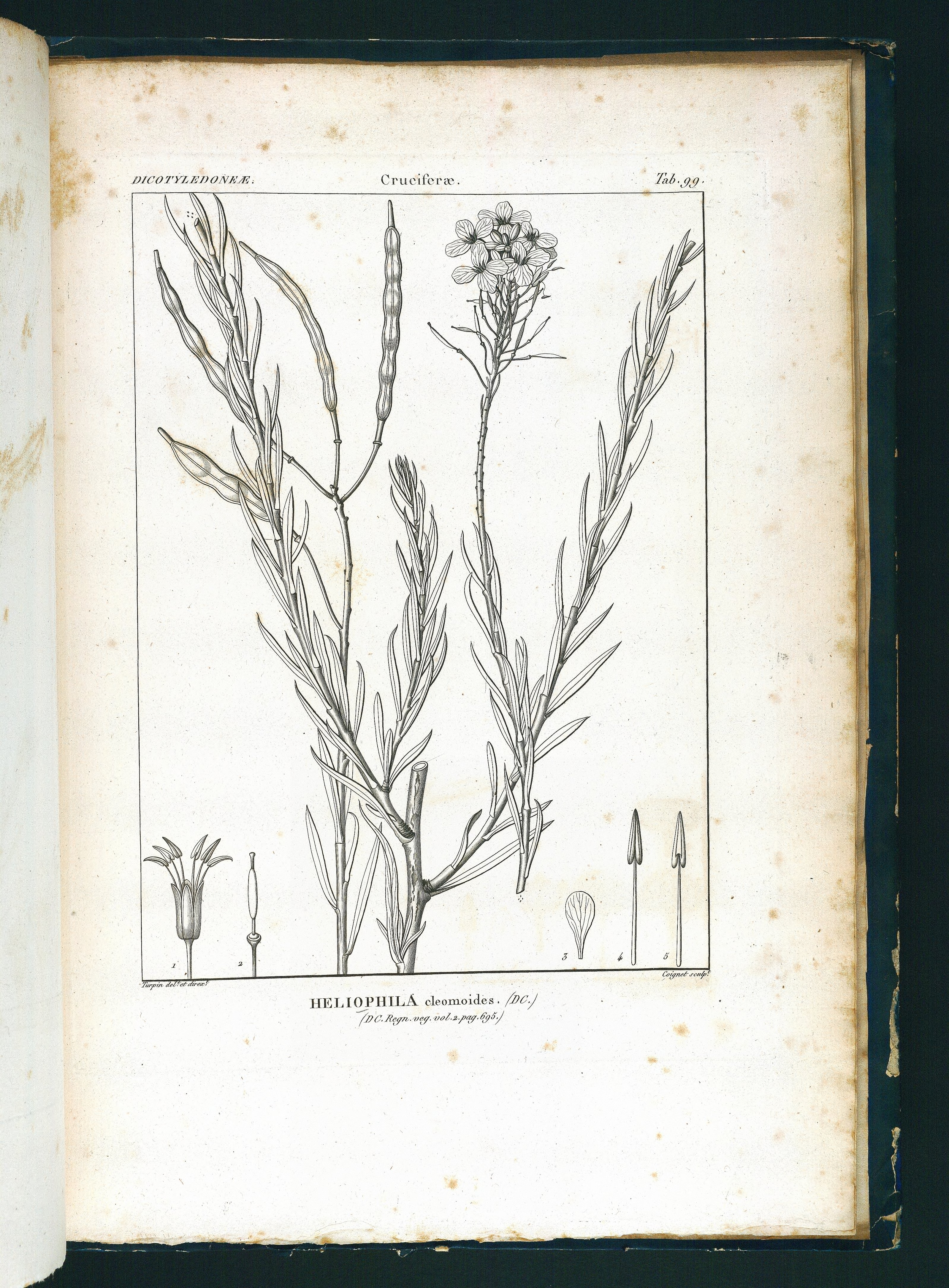 no full size  illustration available (3a)