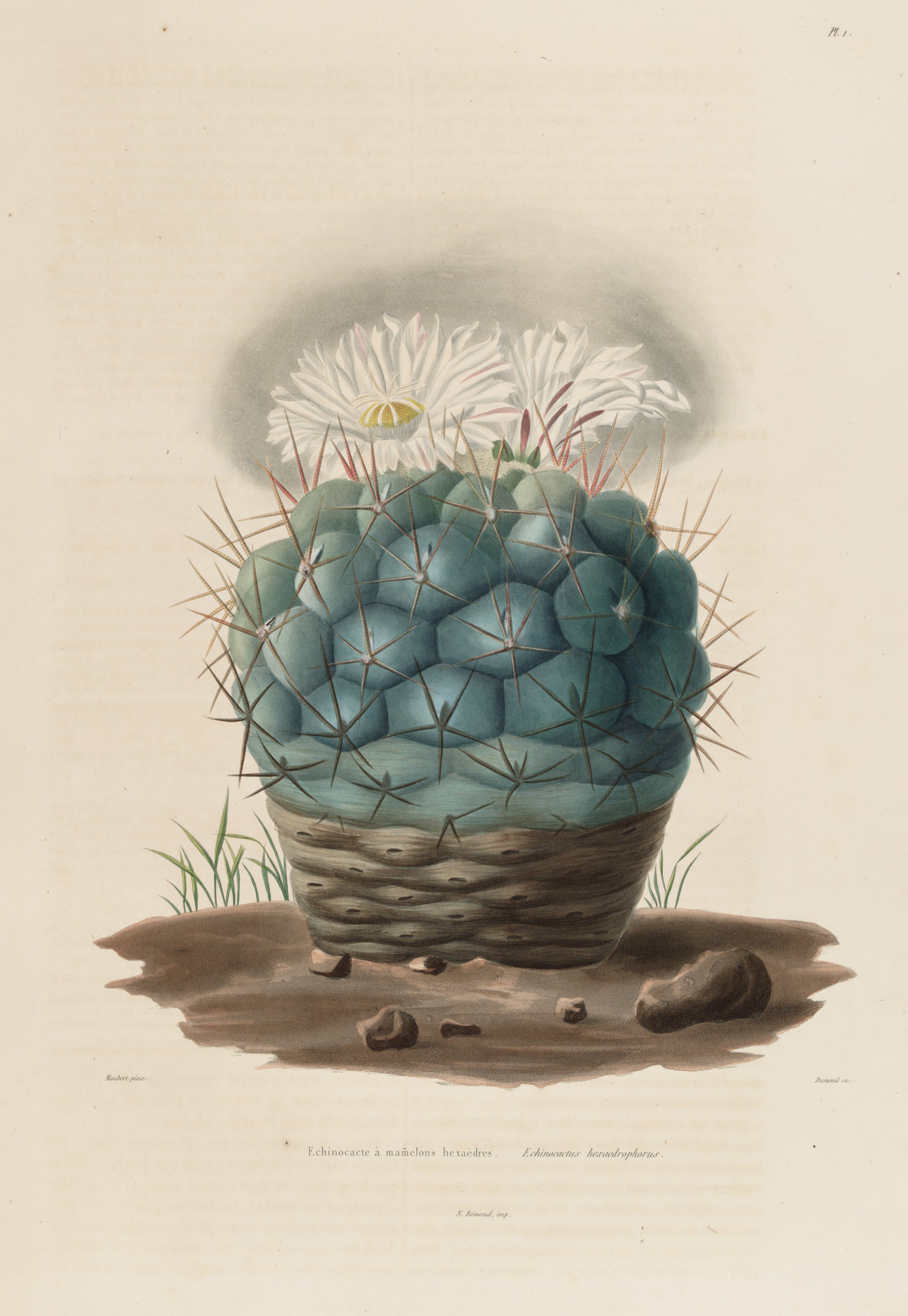 no full size  illustration available (3a)