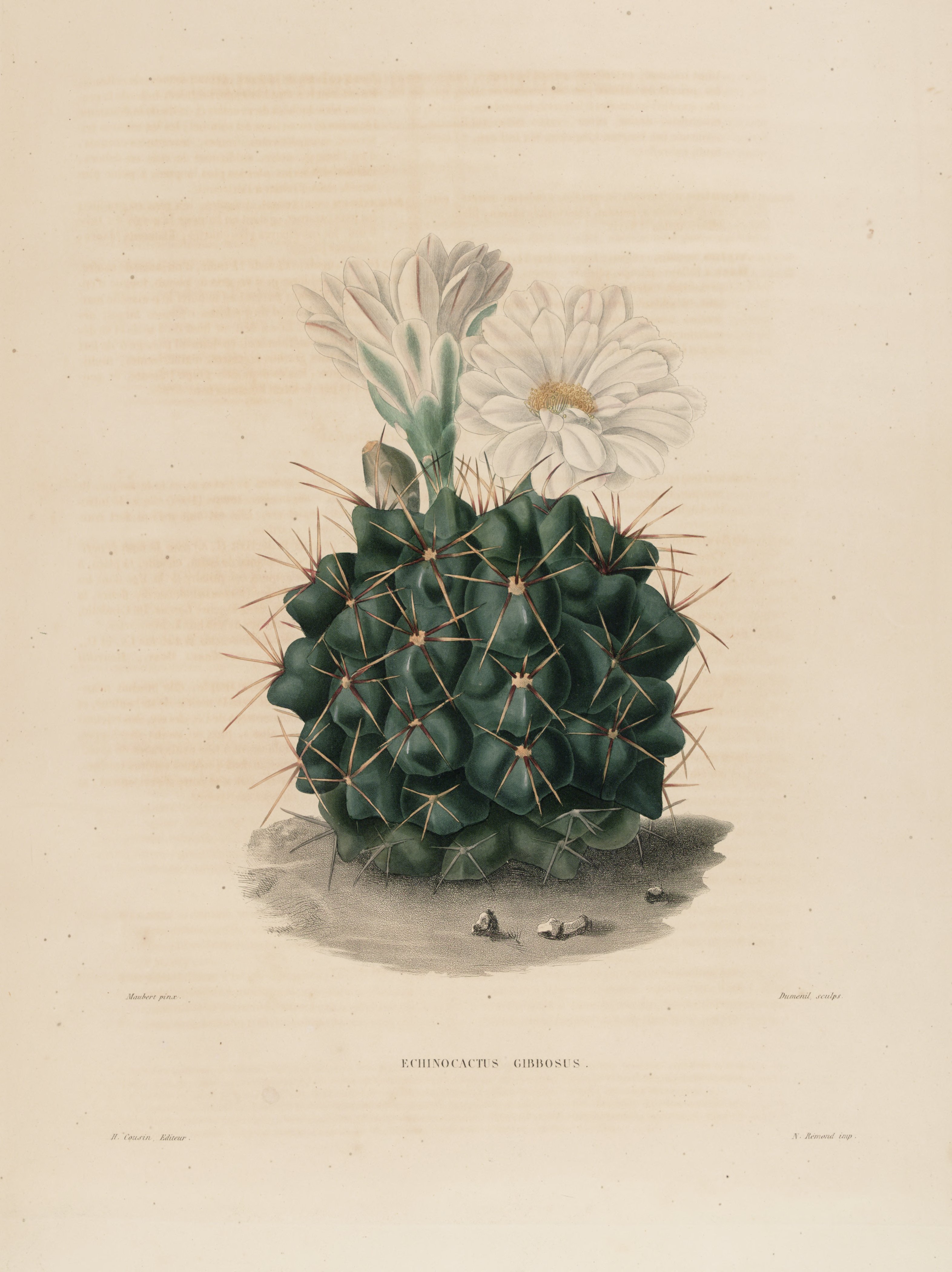 no full size  illustration available (3a)