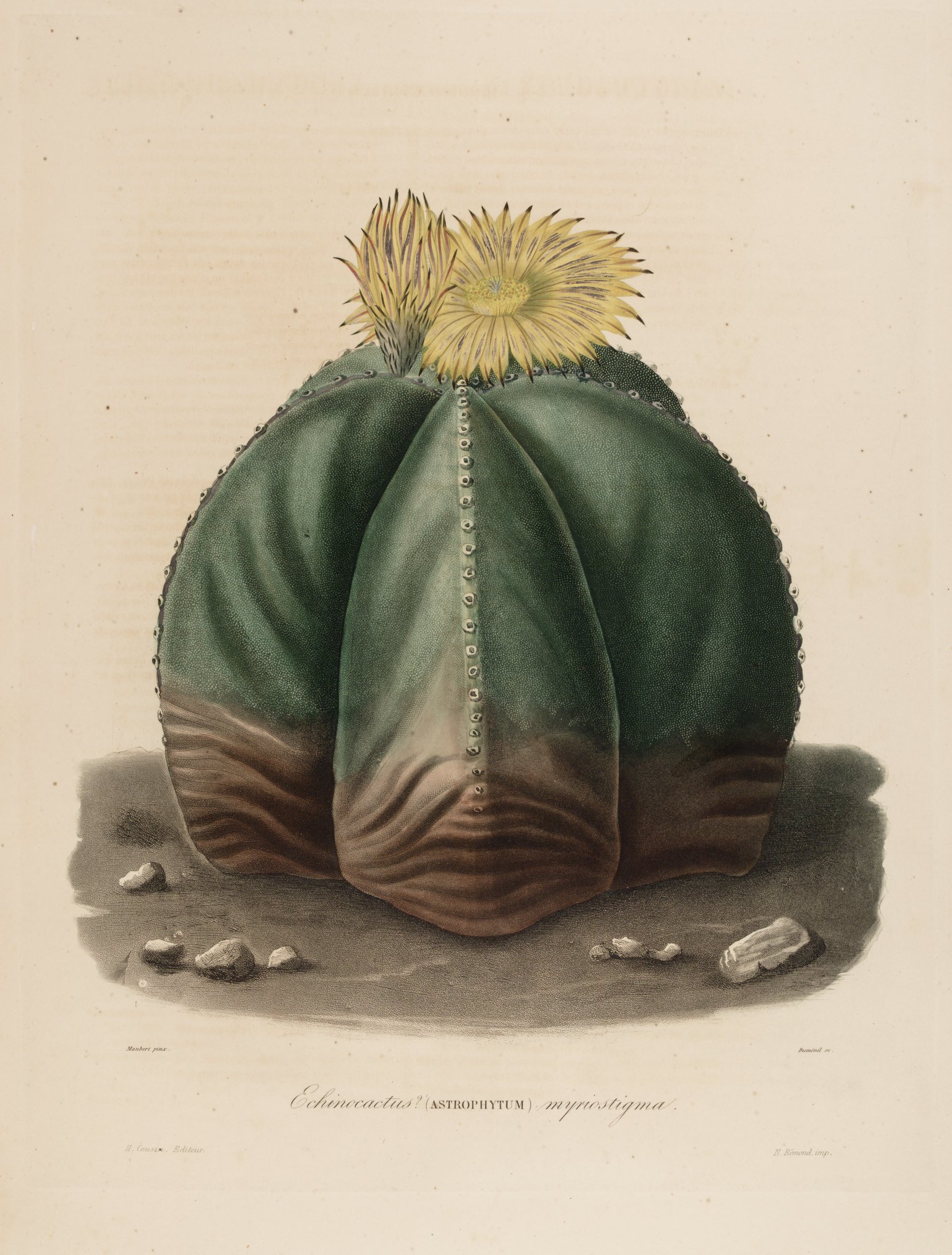 no full size  illustration available (3a)