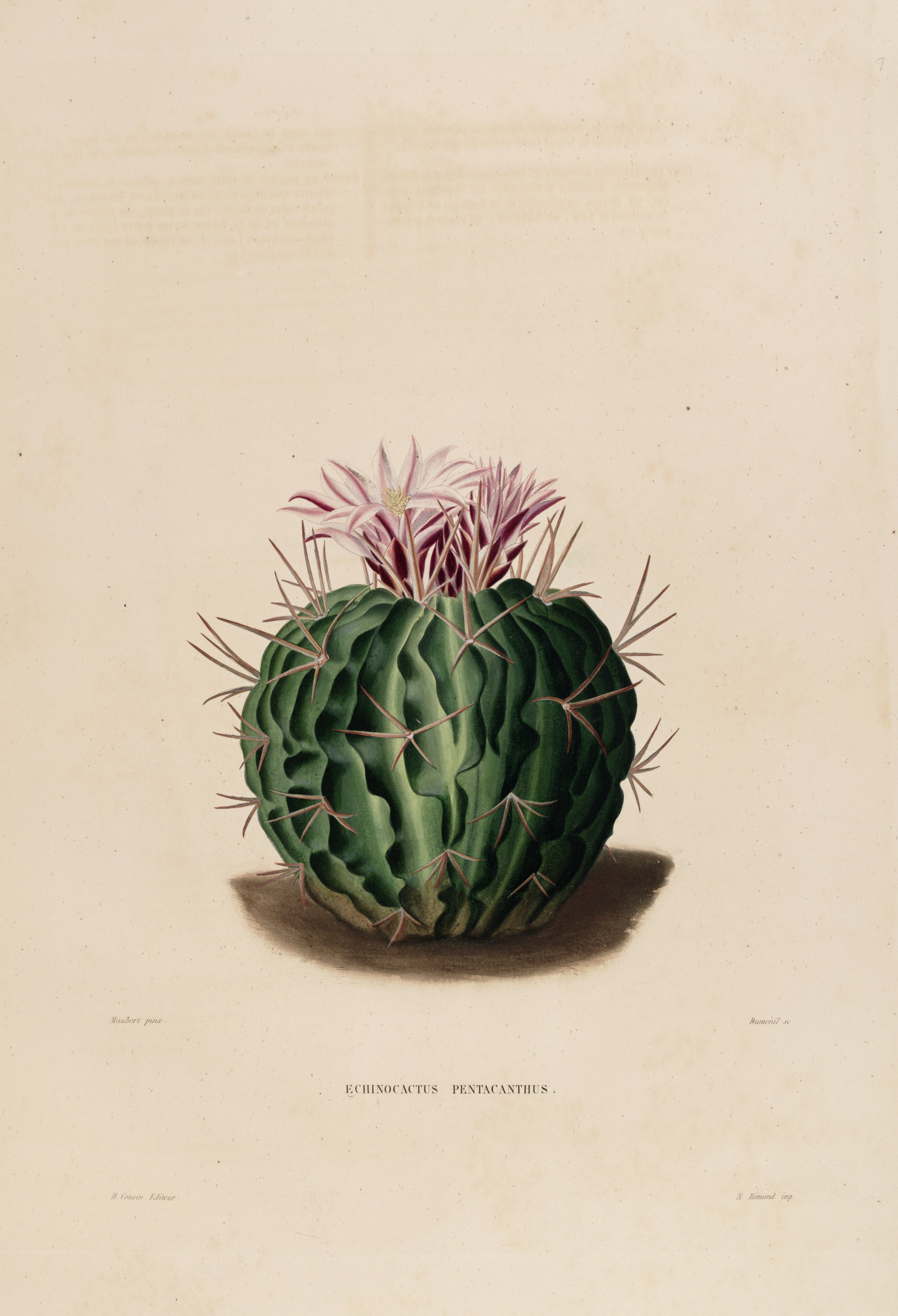 no full size  illustration available (3a)