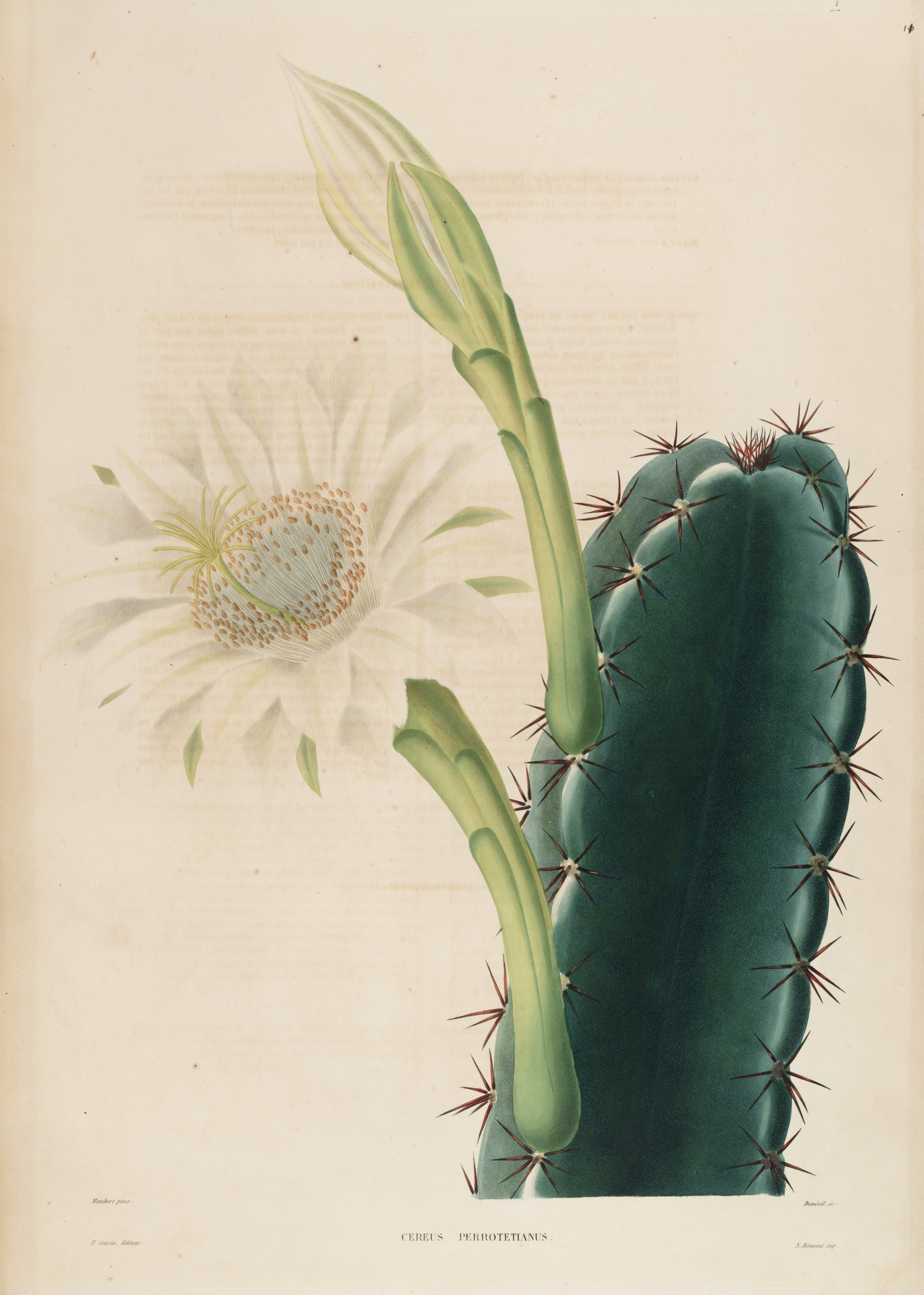 no full size  illustration available (3a)