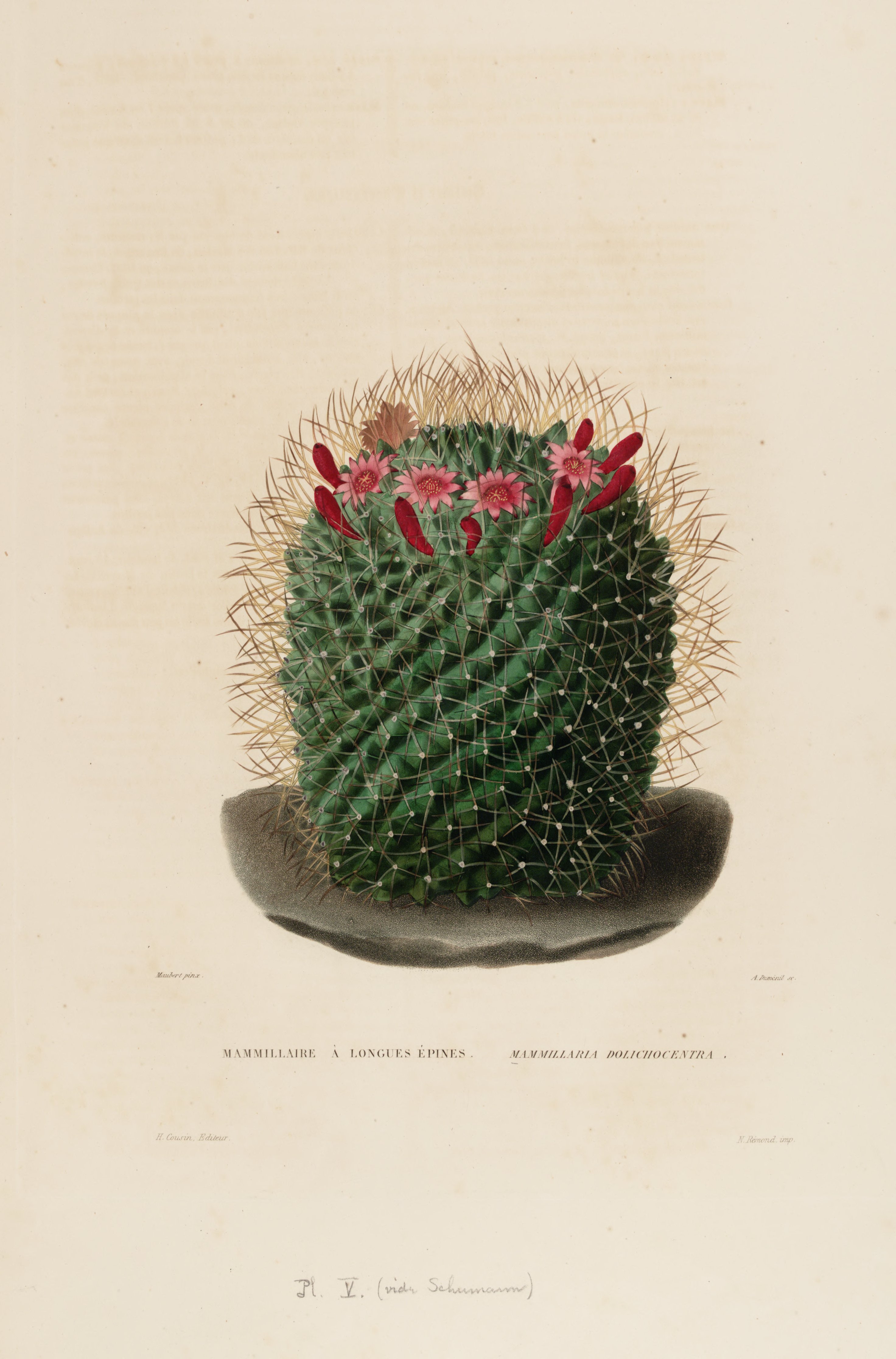 no full size  illustration available (3a)