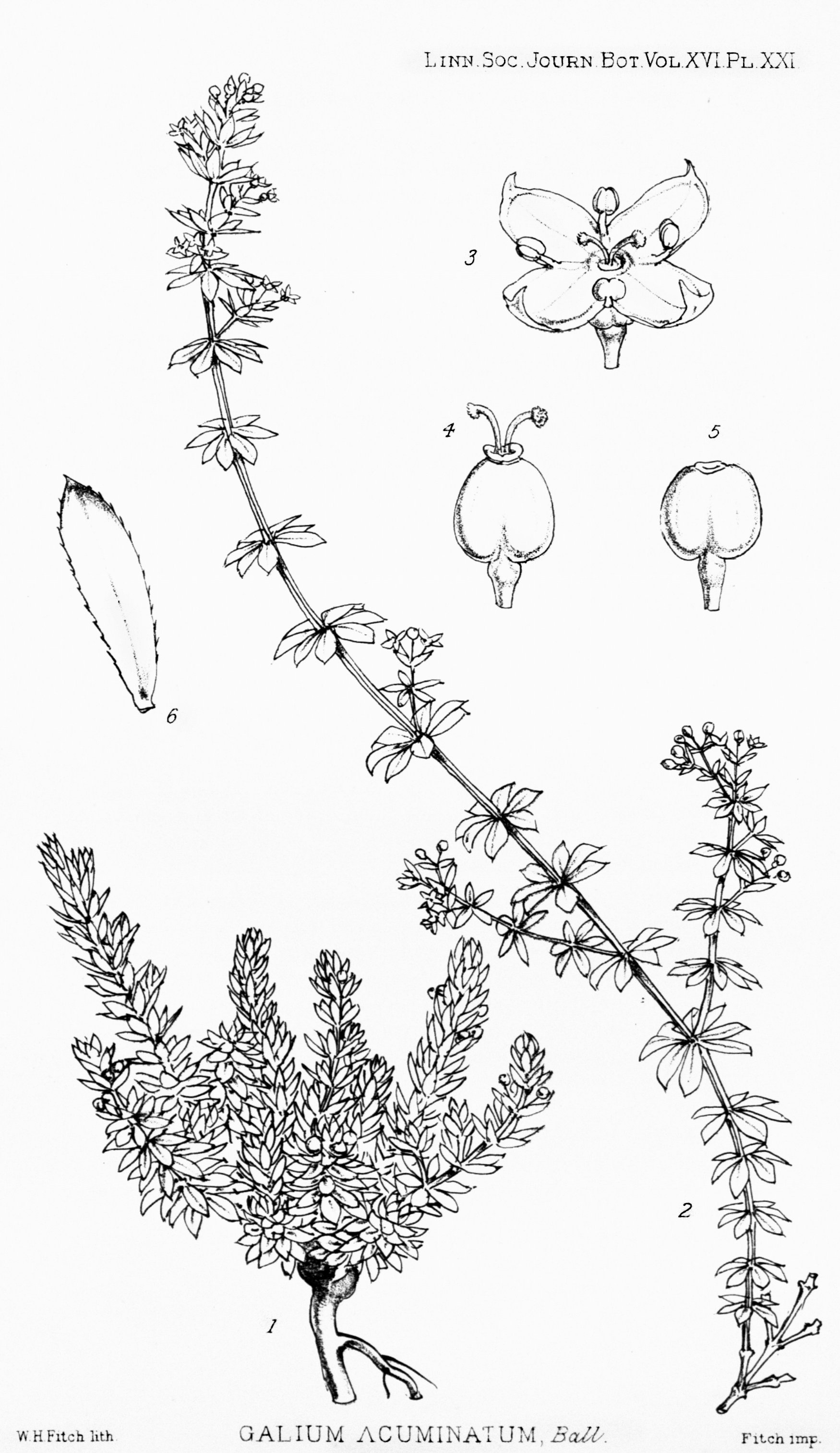 no full size  illustration available (3a)