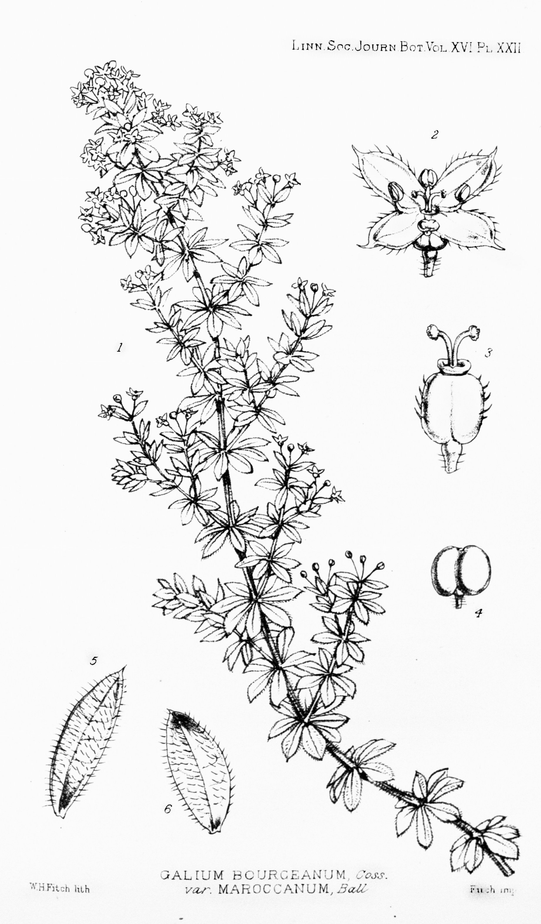 no full size  illustration available (3a)