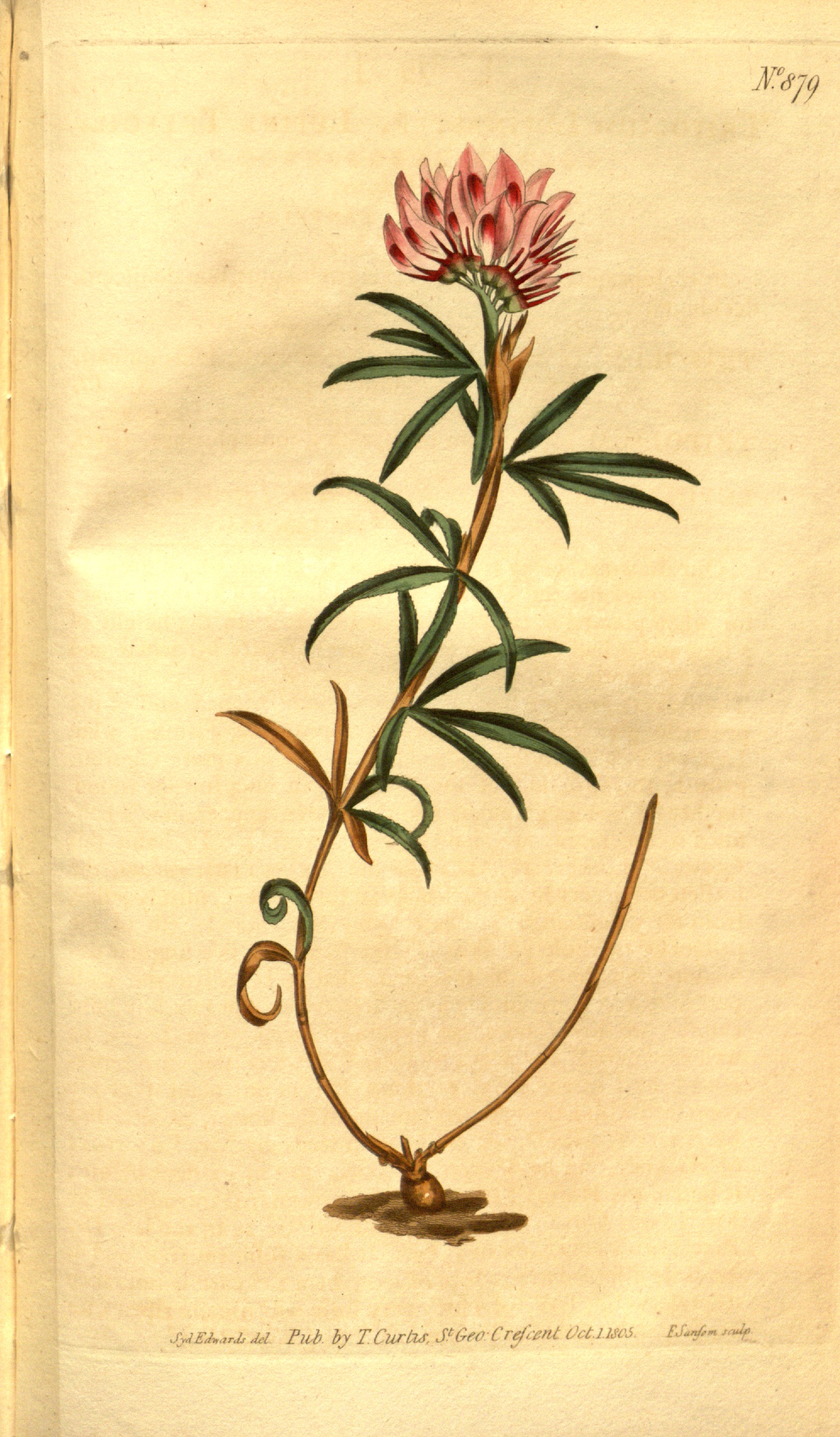 no full size  illustration available (3a)