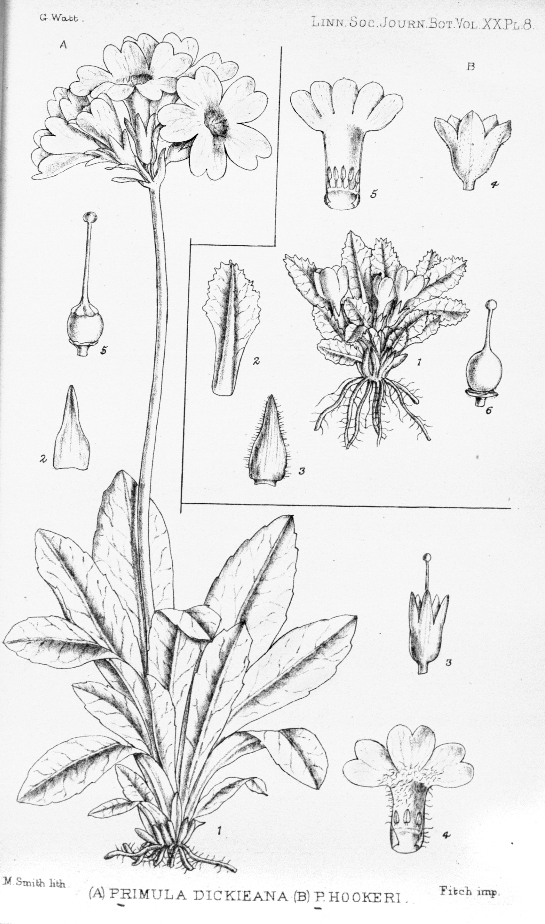 no full size  illustration available (3a)