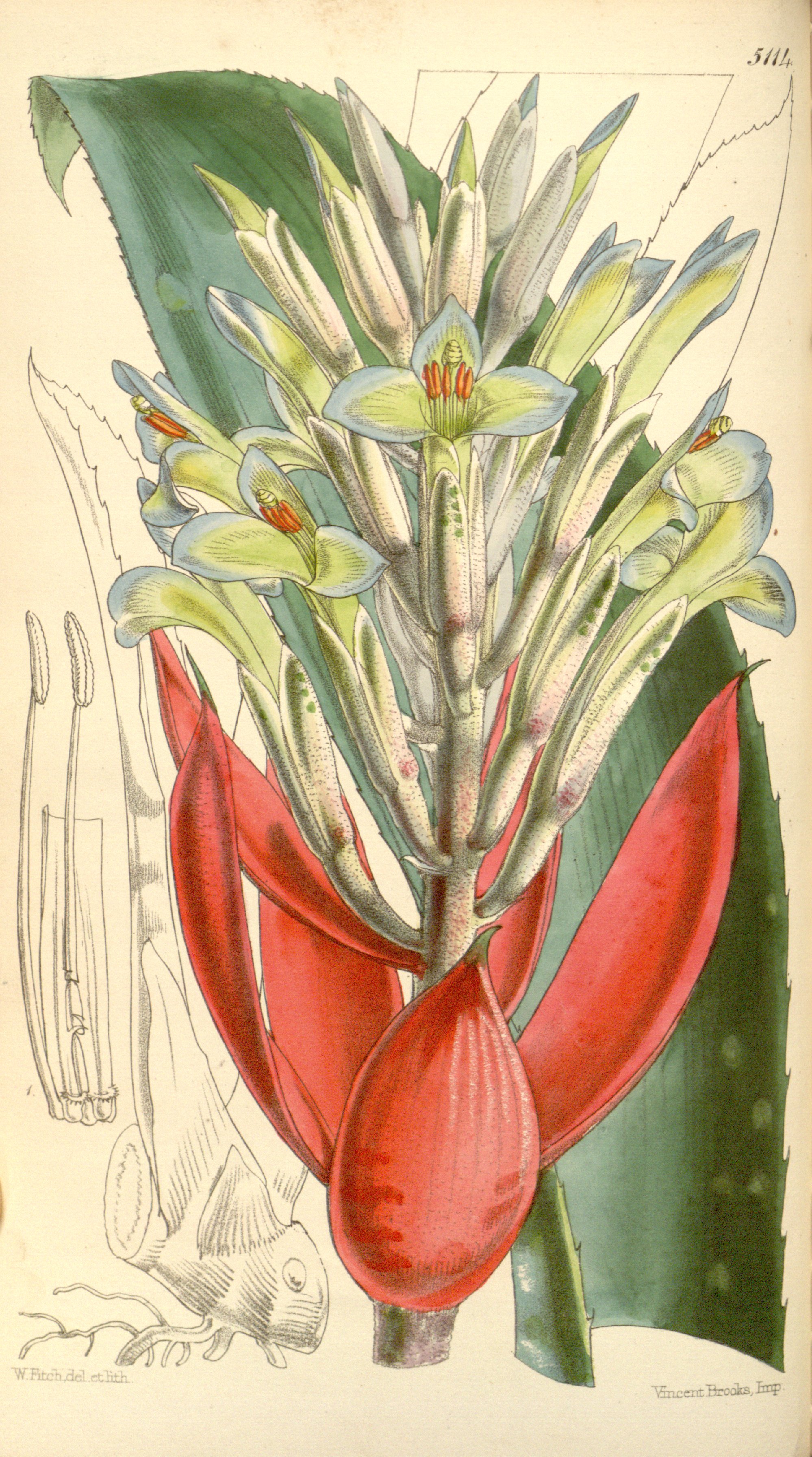 no full size  illustration available (3a)