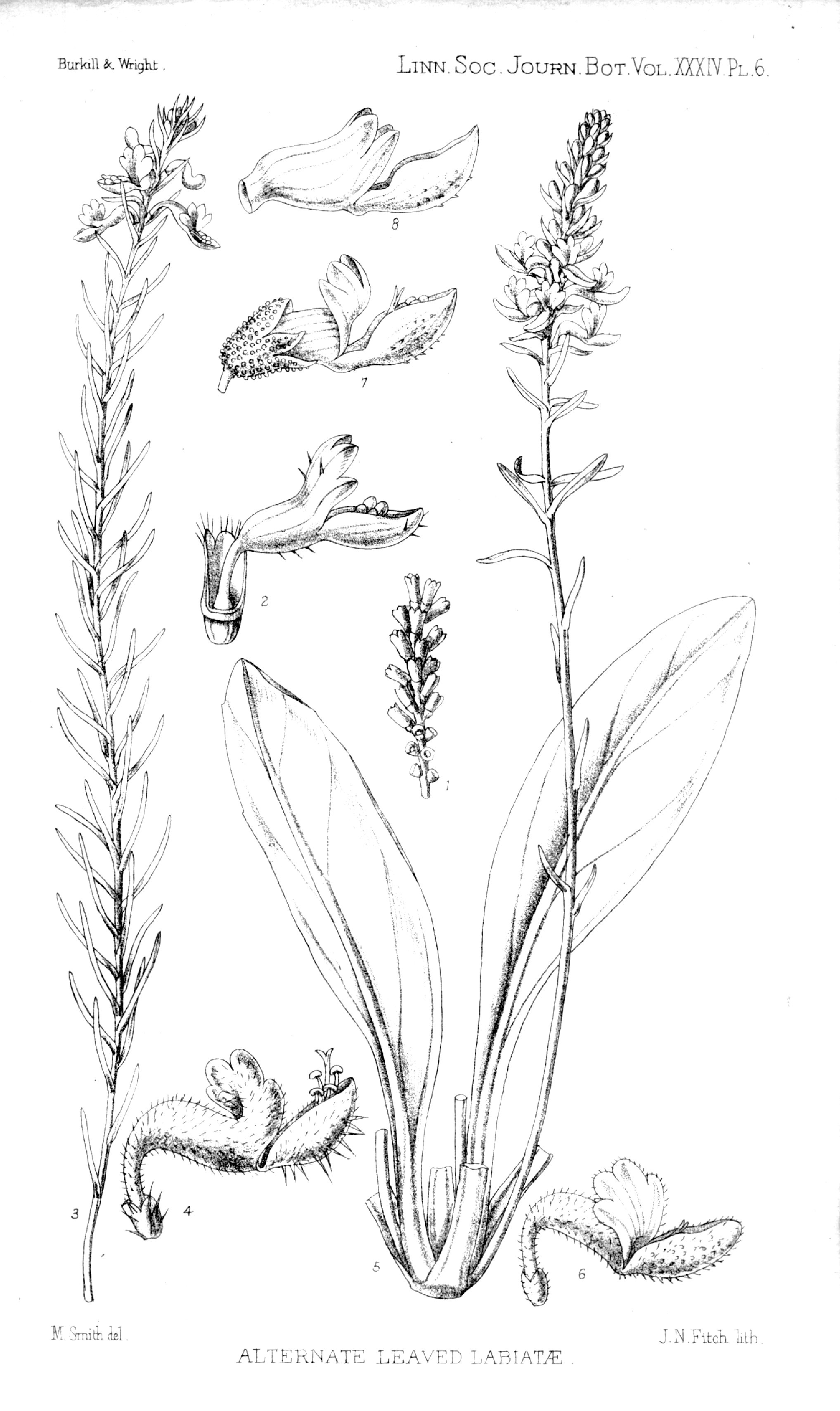 no full size  illustration available (3a)