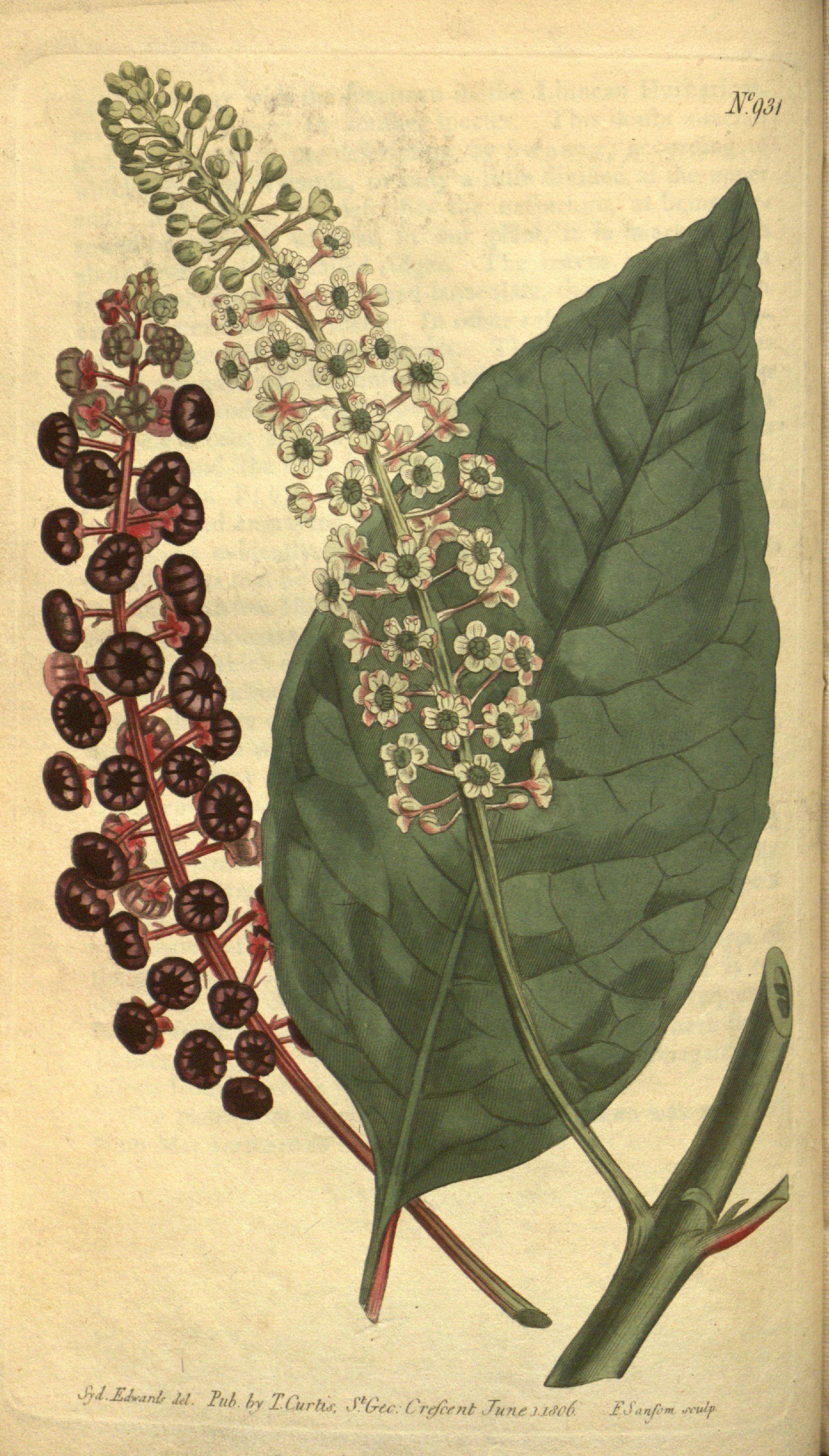 no full size  illustration available (3a)