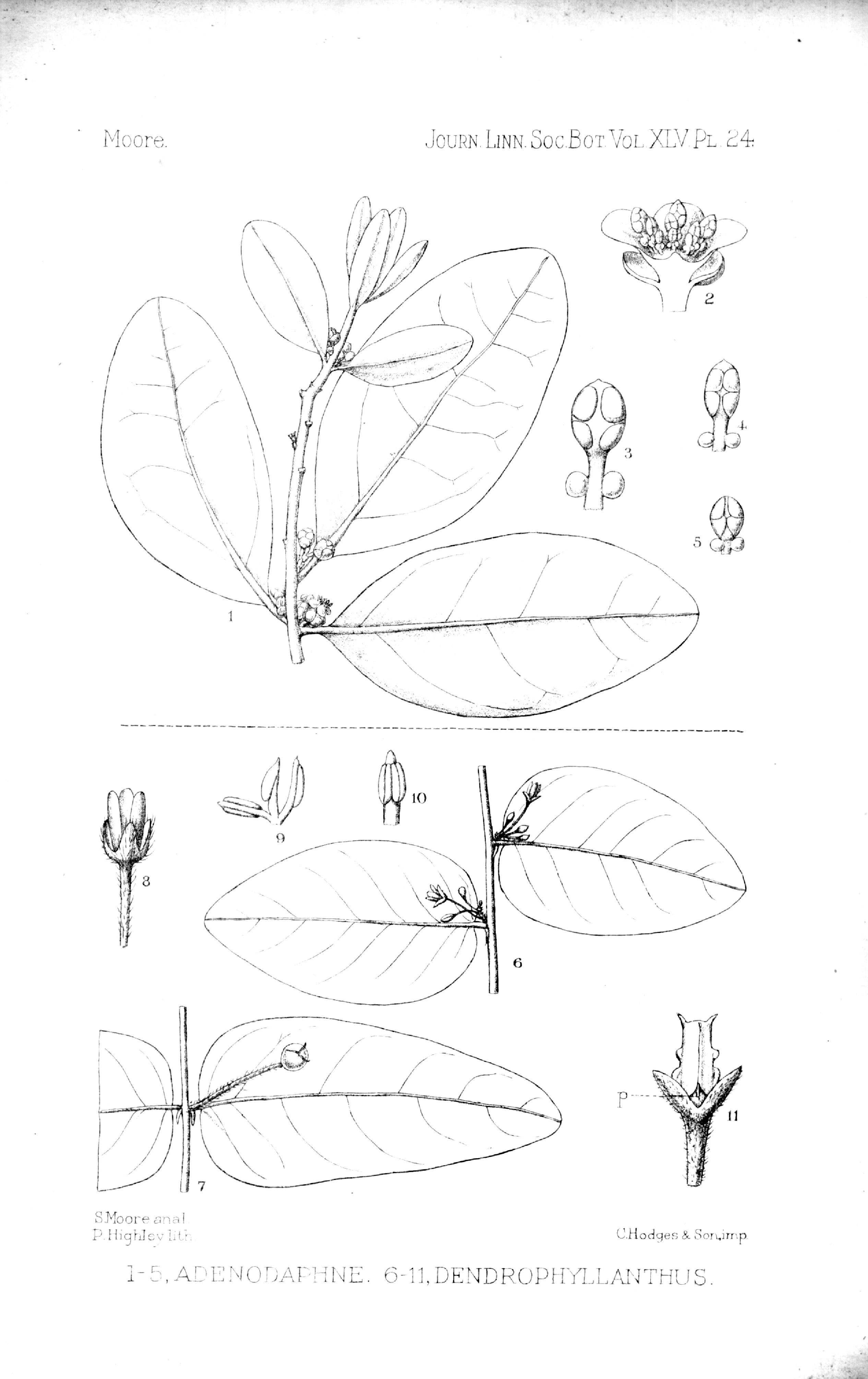 no full size  illustration available (3a)