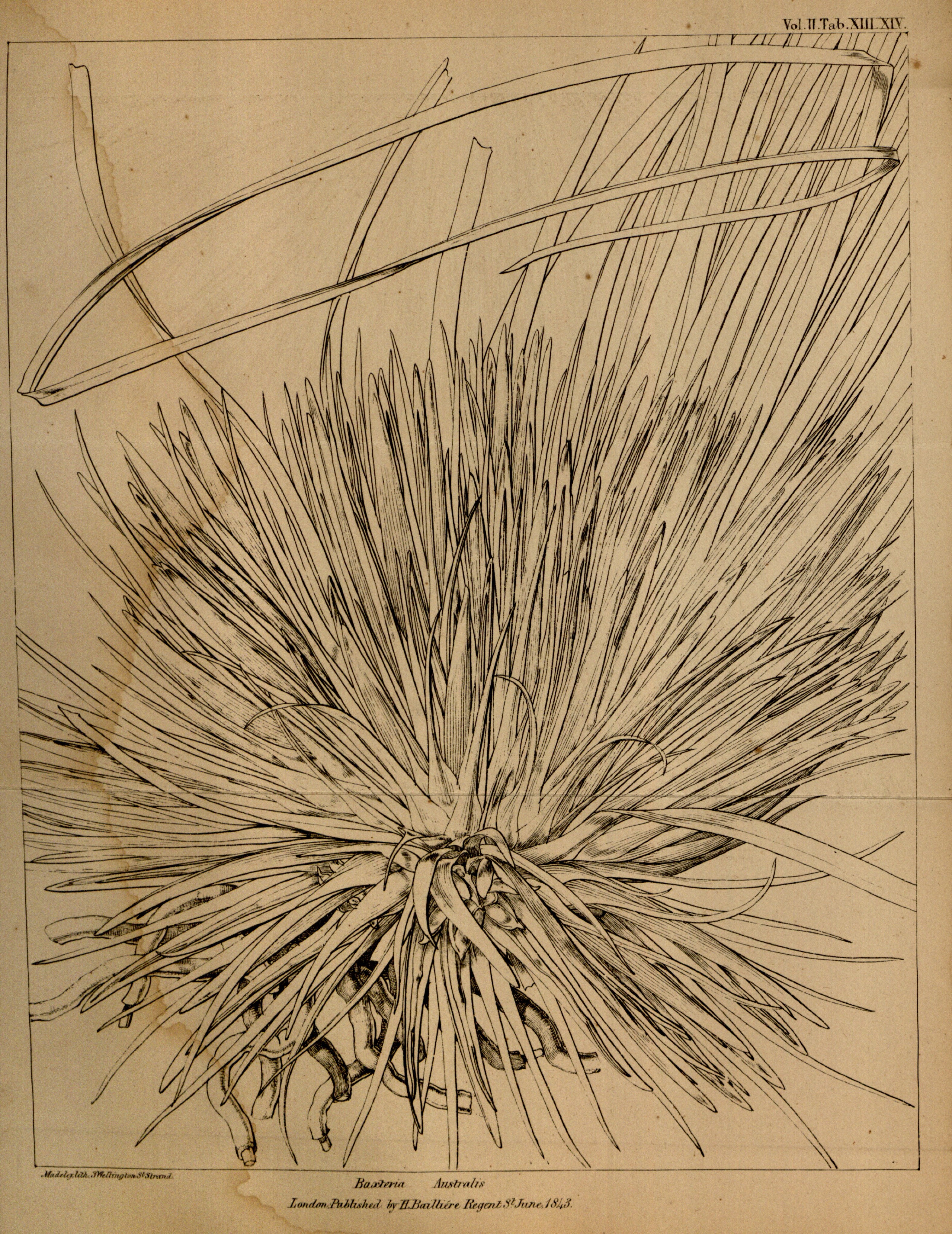 no full size  illustration available (3a)